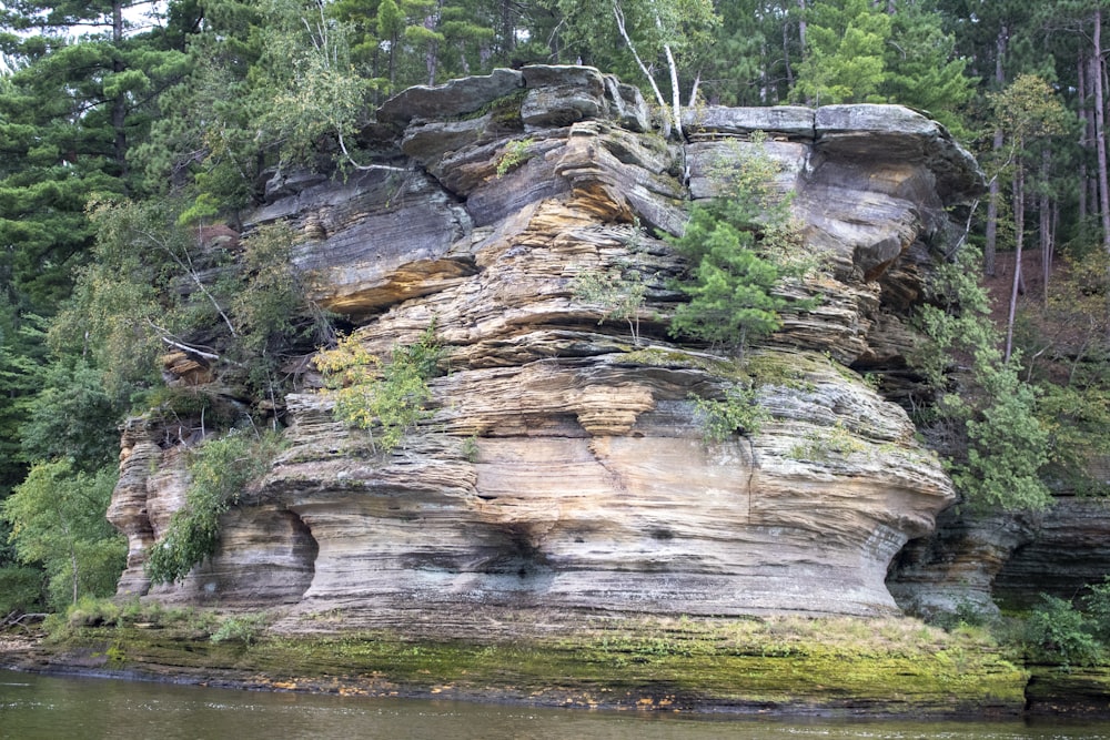 a large rock cliff with trees