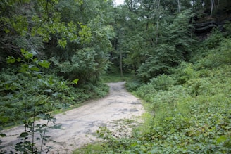 A narrow dirt path winds through a dense forest, surrounded by lush green foliage on all sides. Trees tower overhead, their leaves forming a thick canopy that filters the sunlight. The path appears slightly worn, indicating occasional use, and the scene is serene and untouched by human presence.