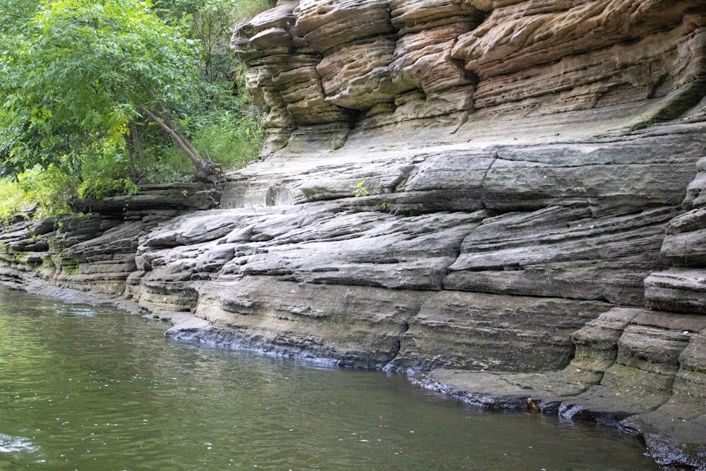 a river with rocks and trees