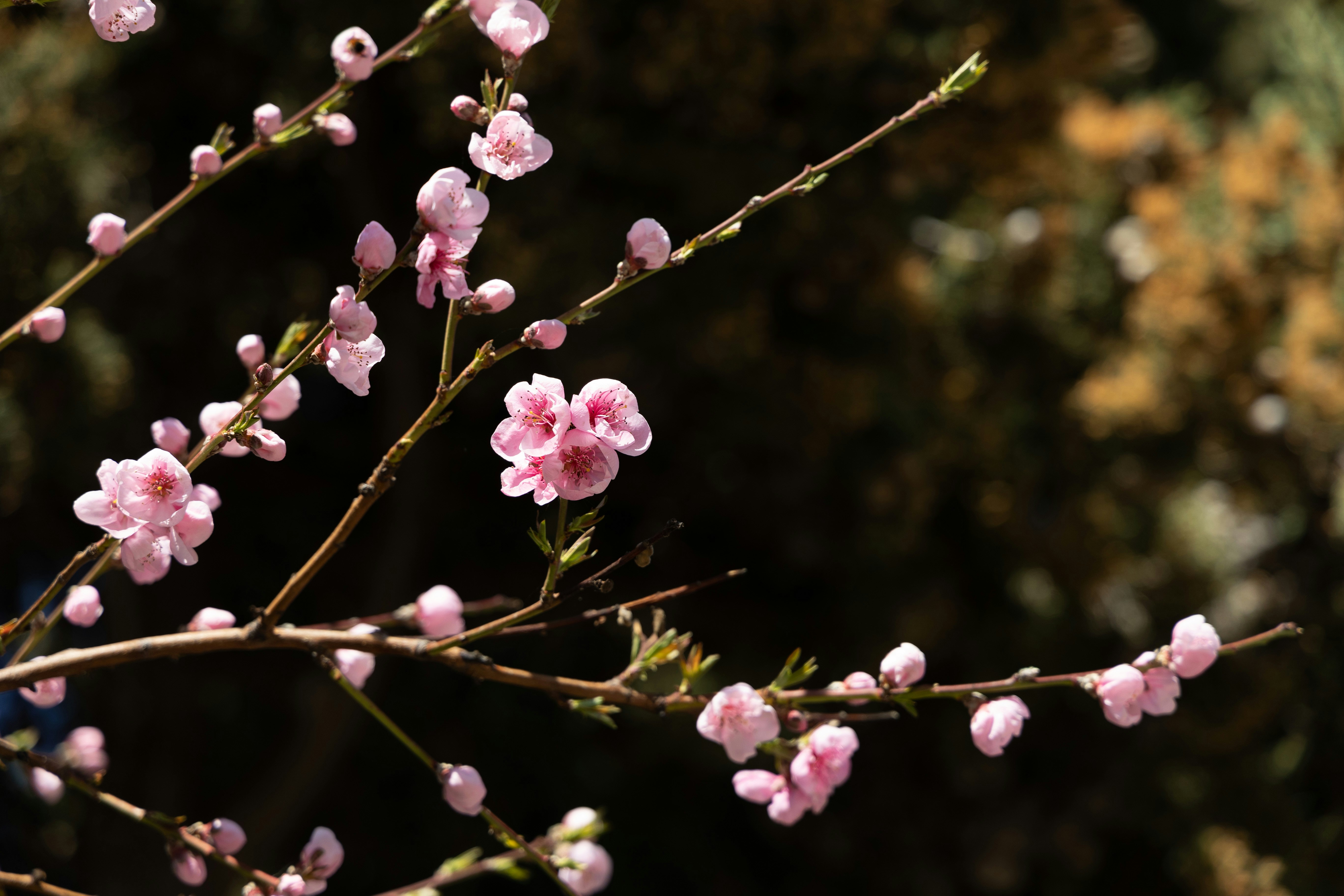 Photo by ilina_marii