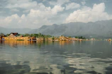 Scenic view of Dal Lake with shikaras gliding under a clear blue sky