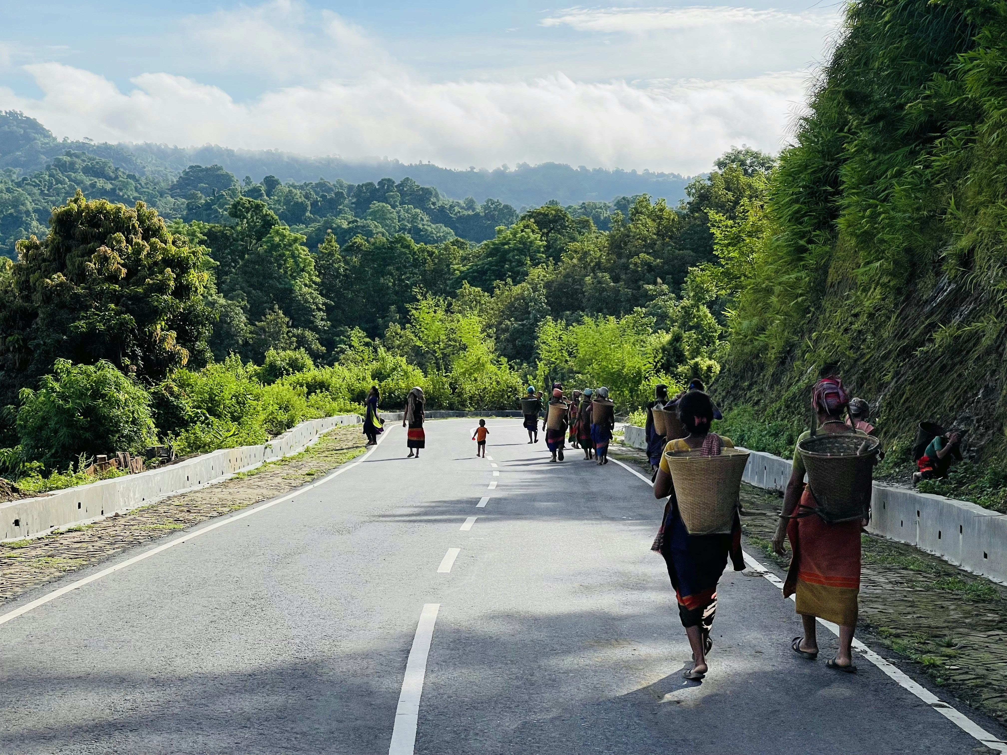 a group of people walking on a road with trees on either side