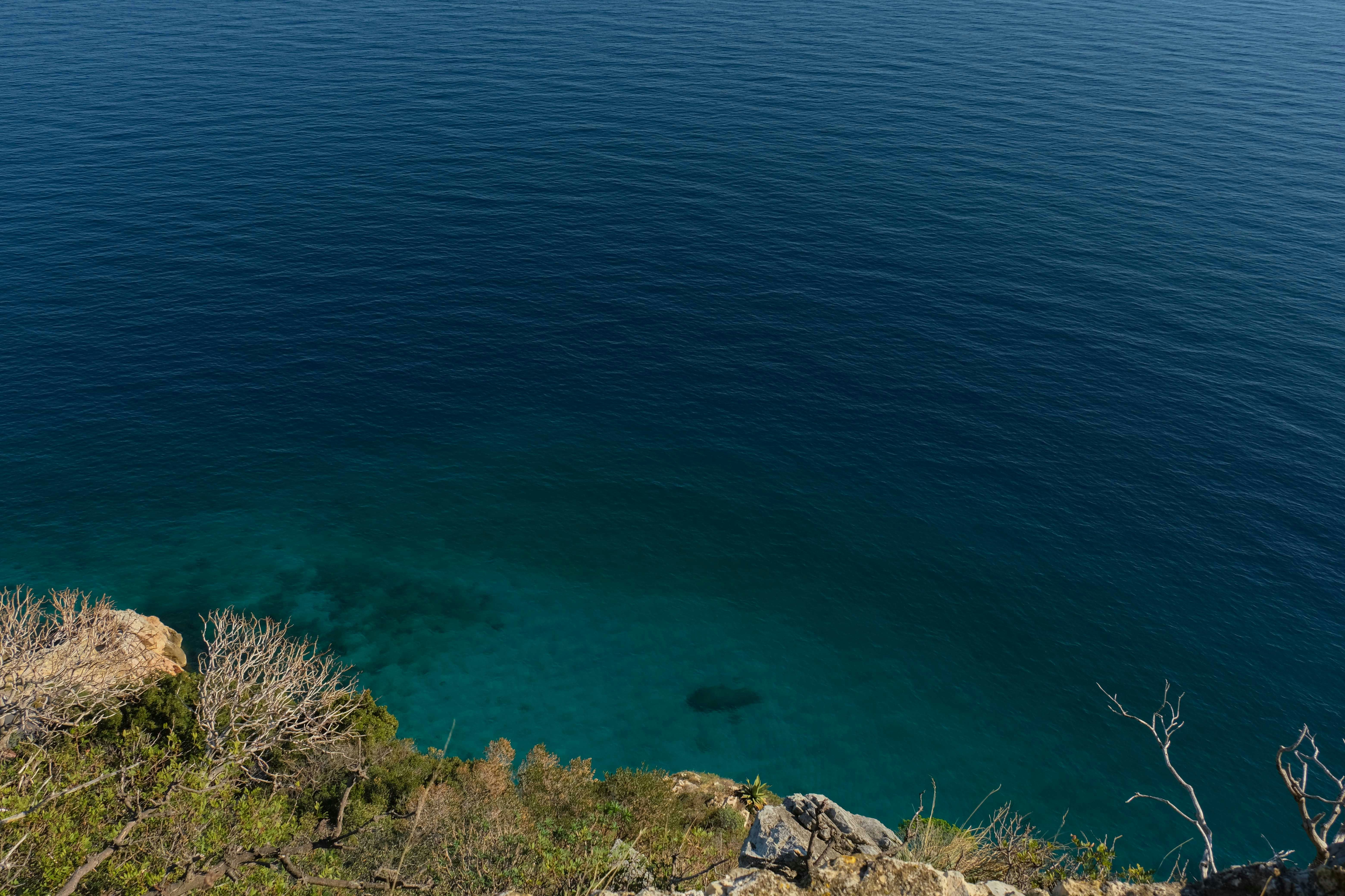 Photo by francesco_ungaro