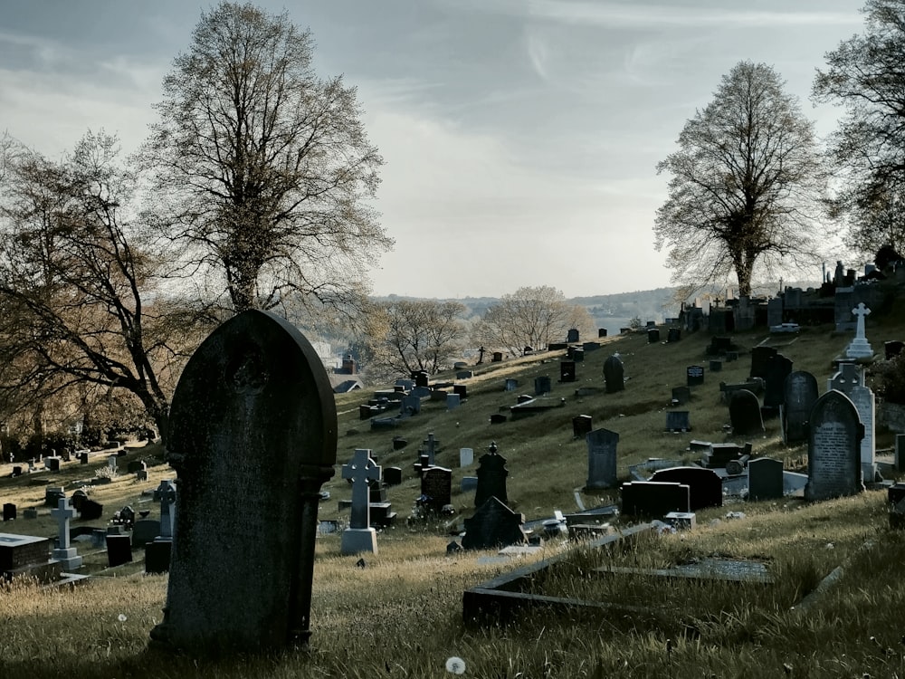 a cemetery with many tombstones