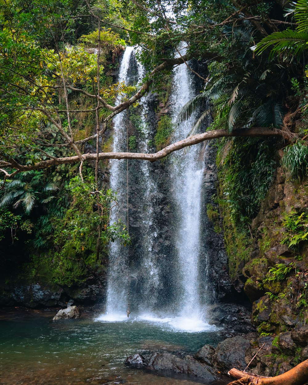 Une cascade dans une forêt