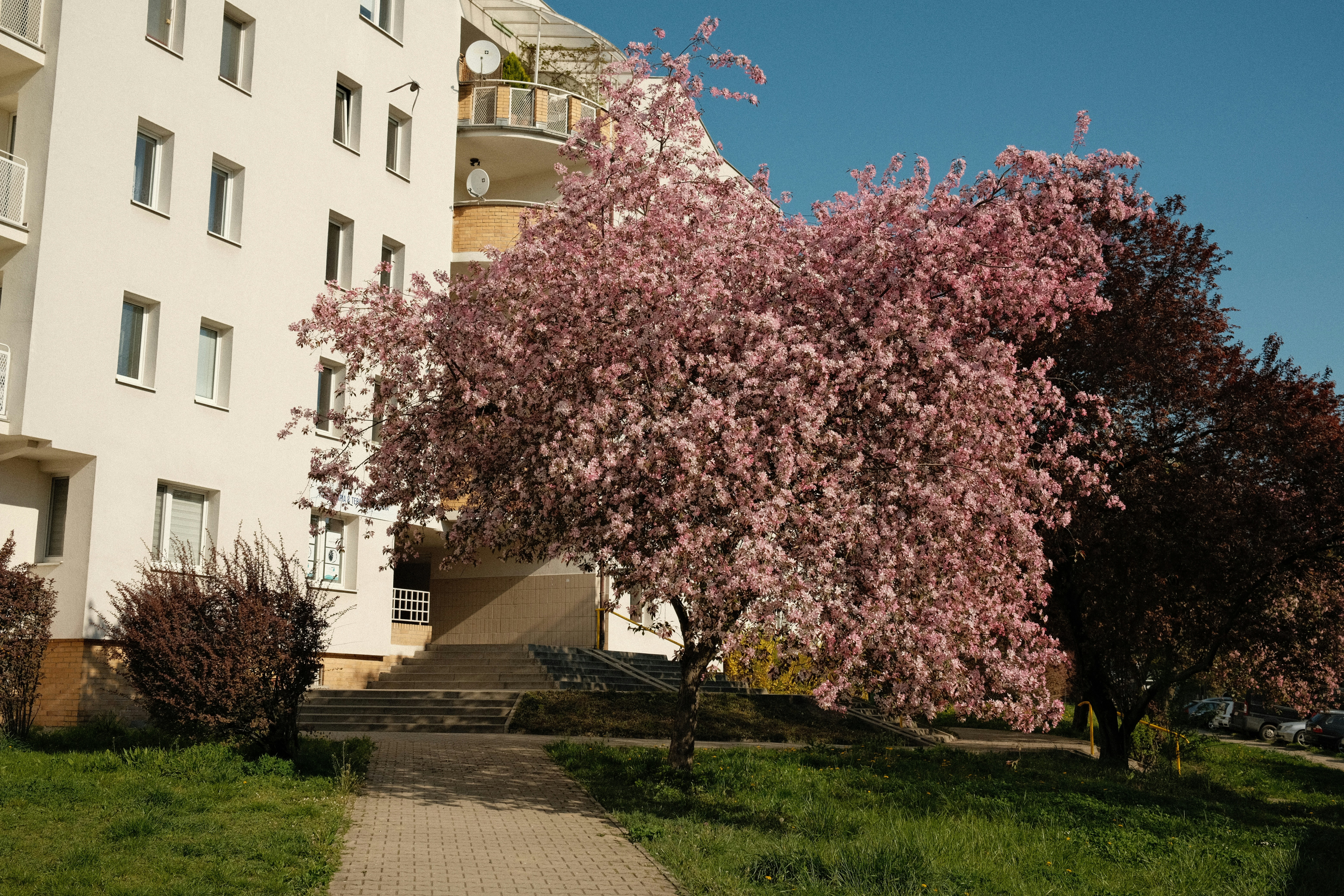 Photo by egorkomarov