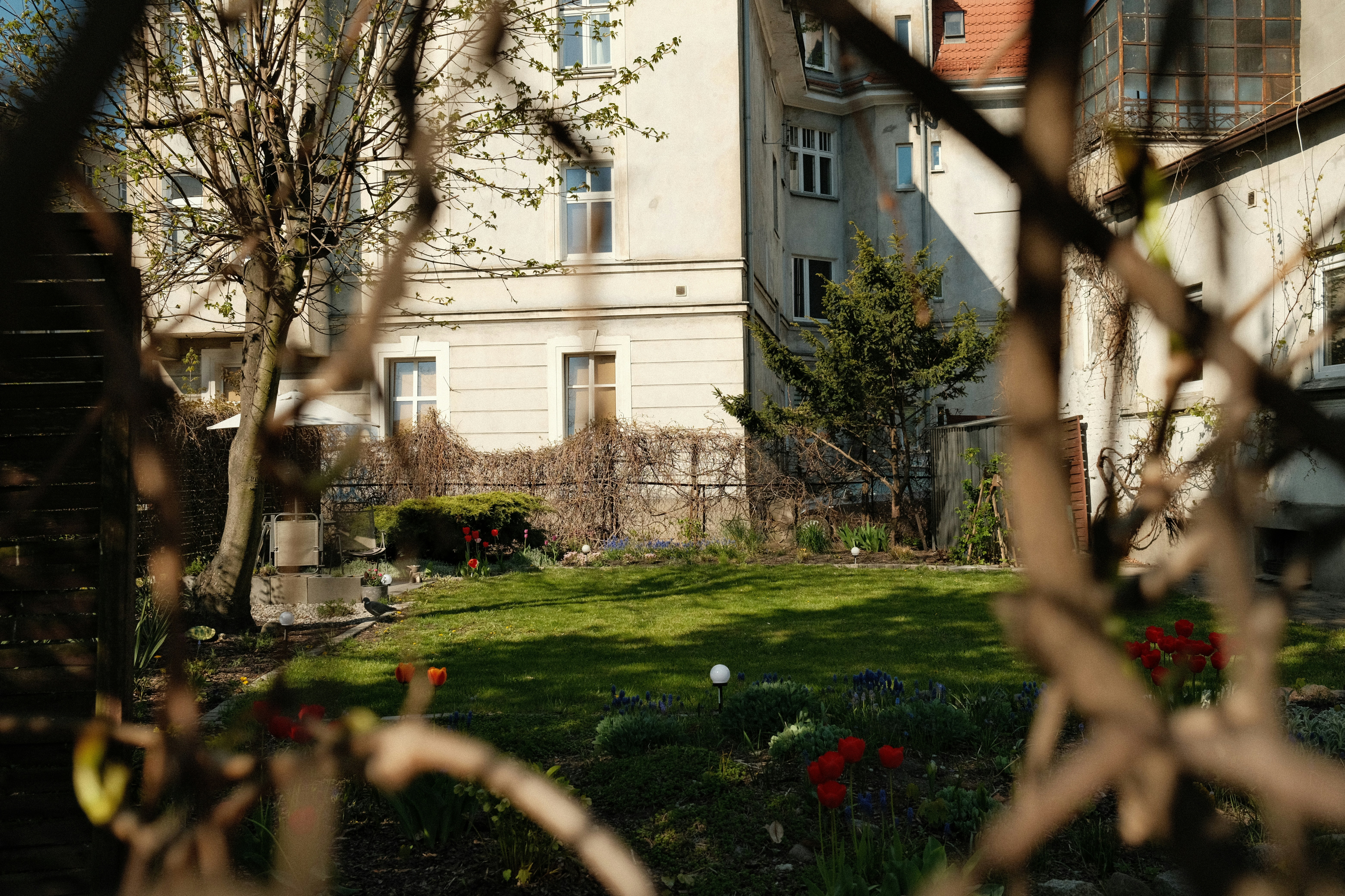 Photo by egorkomarov