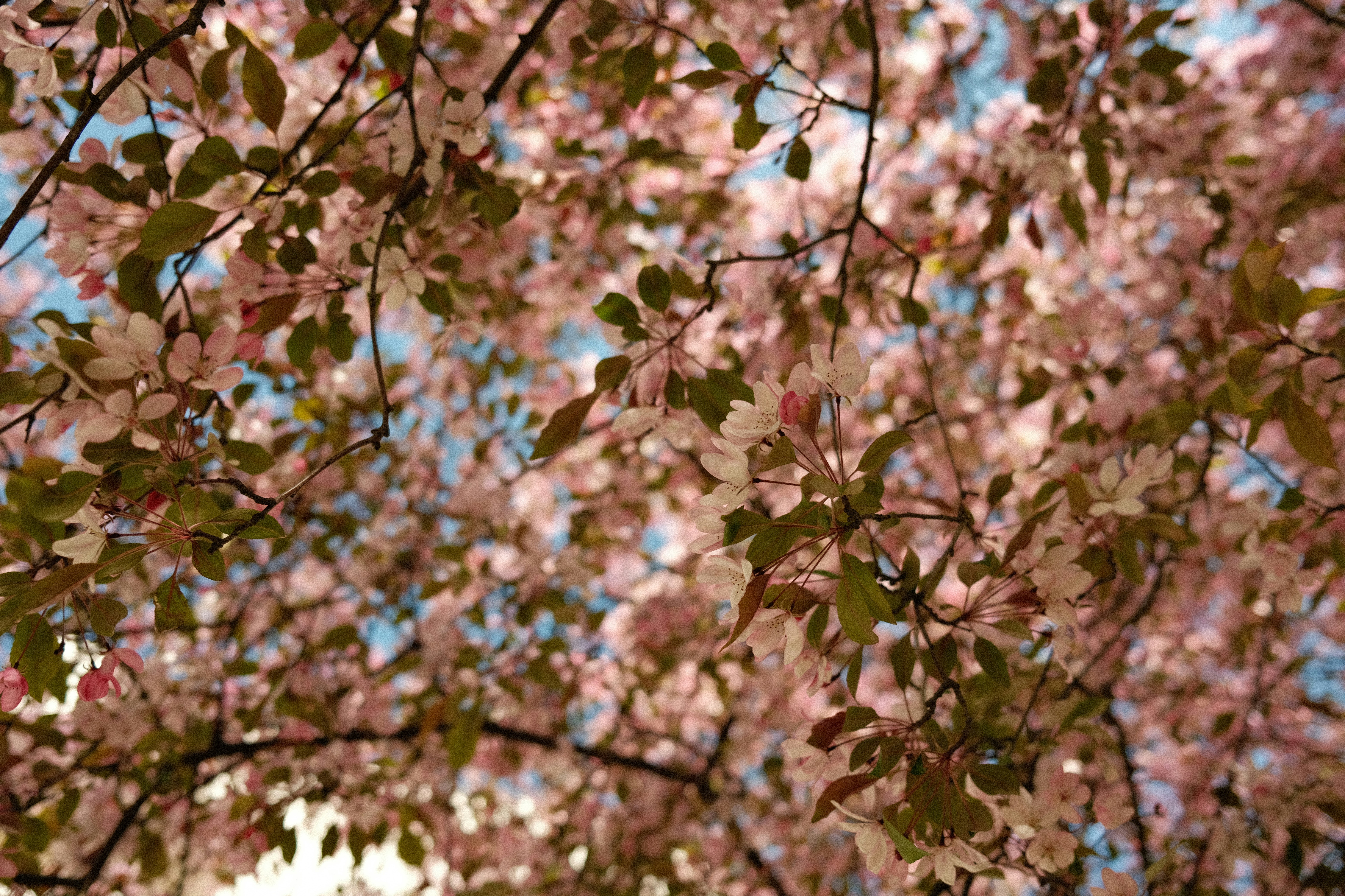 Photo by egorkomarov