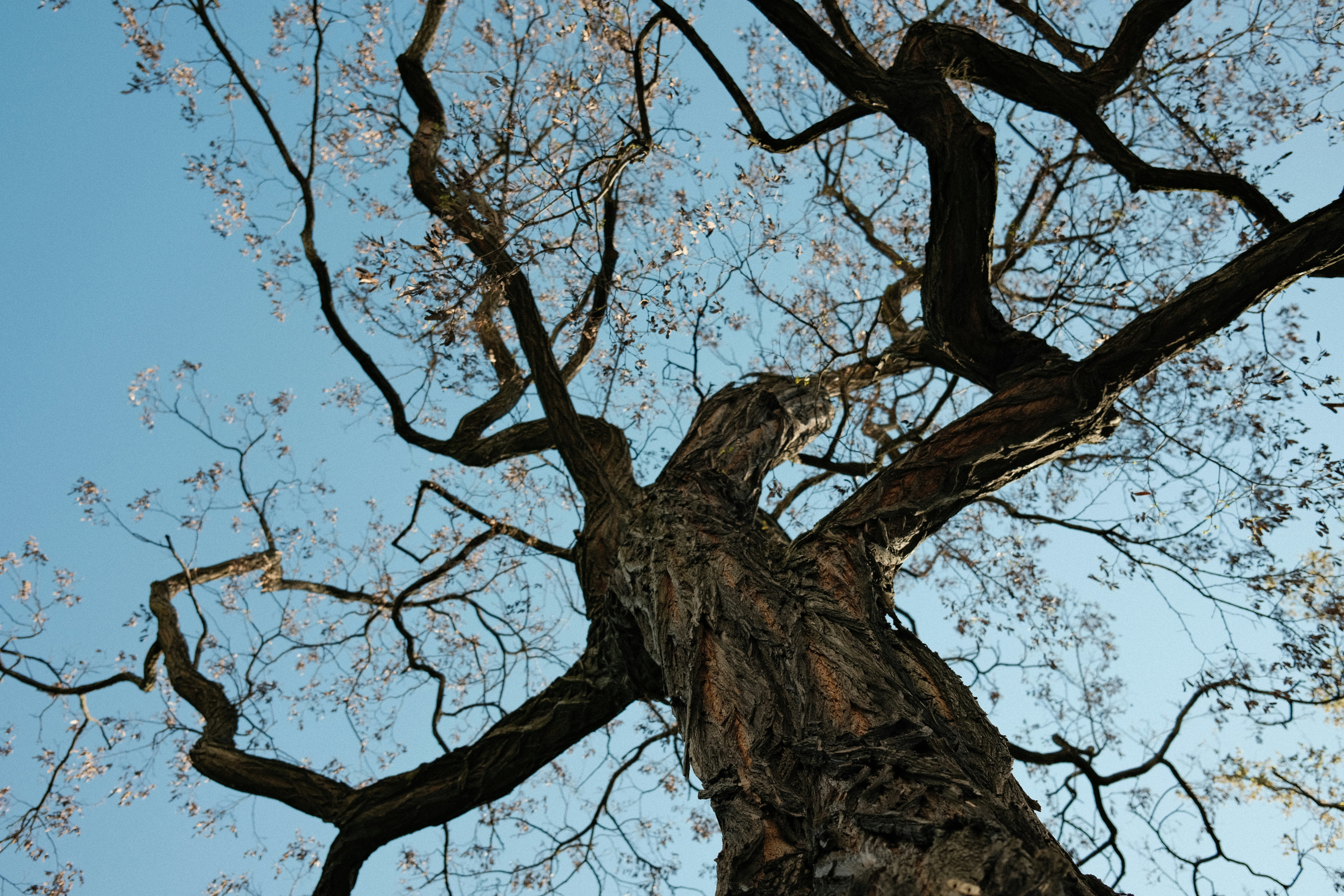 Photo by egorkomarov