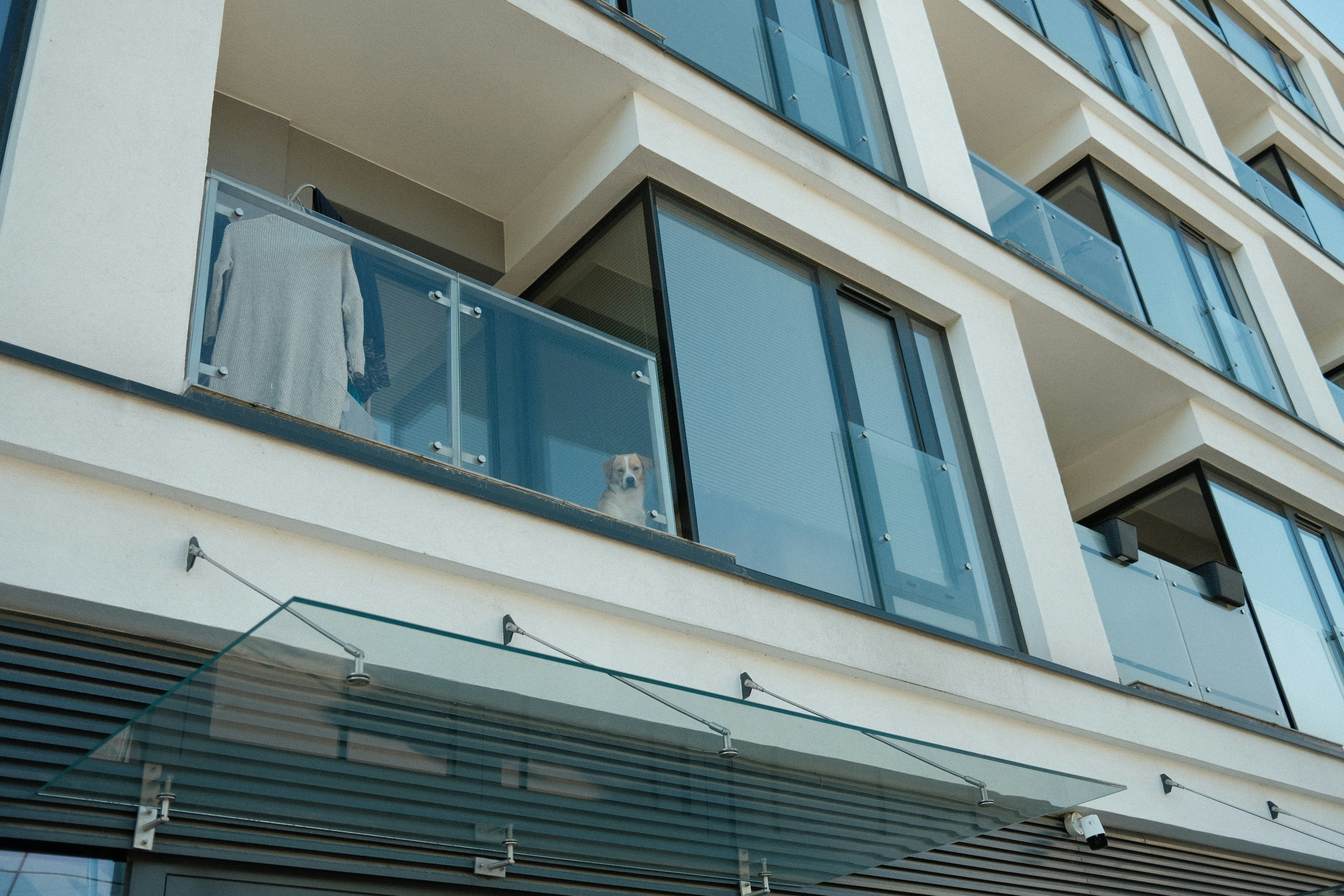 Photo by egorkomarov