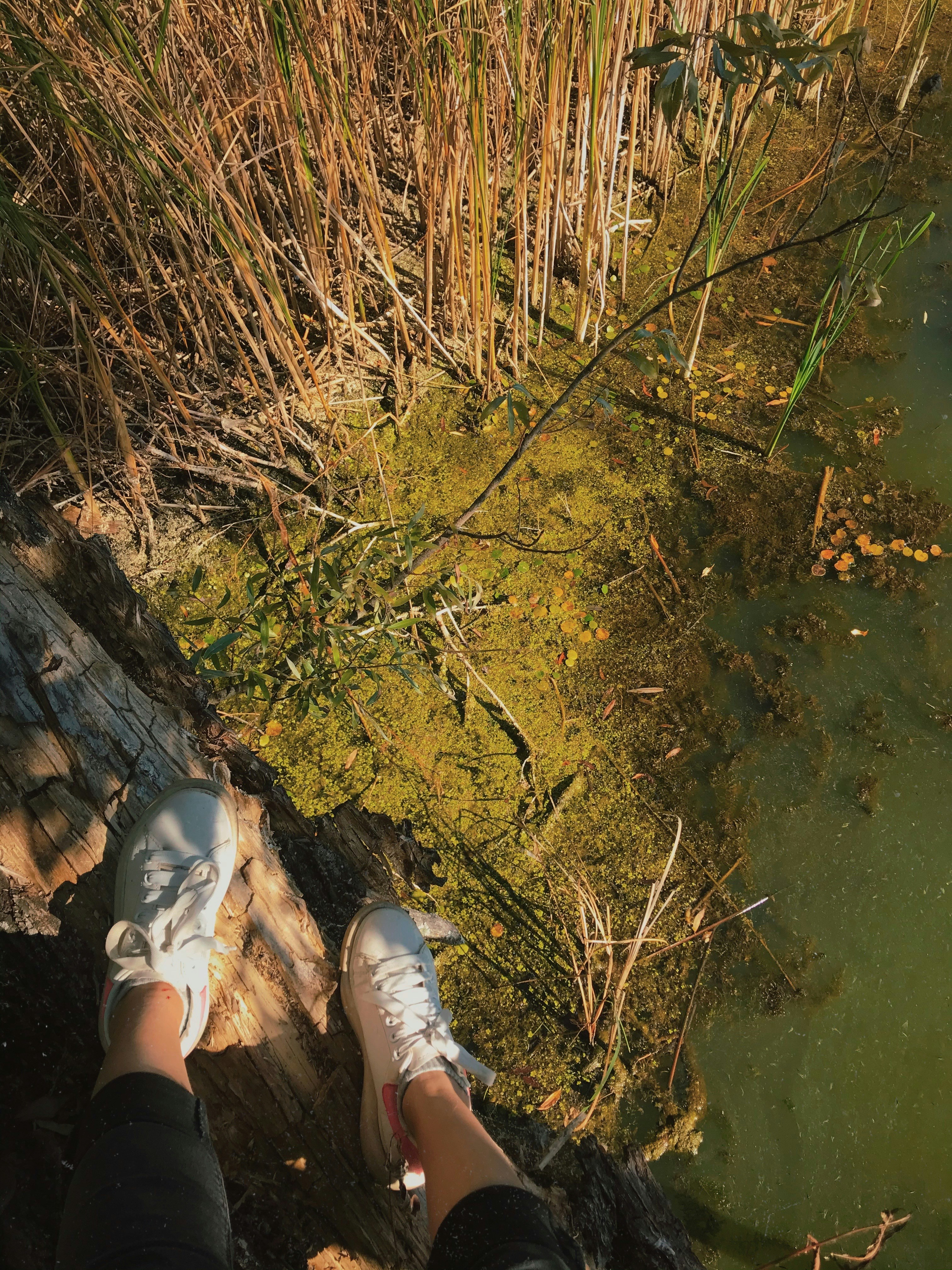 Alin Lin (@17_f) | Comunidade de fotos da Unsplash