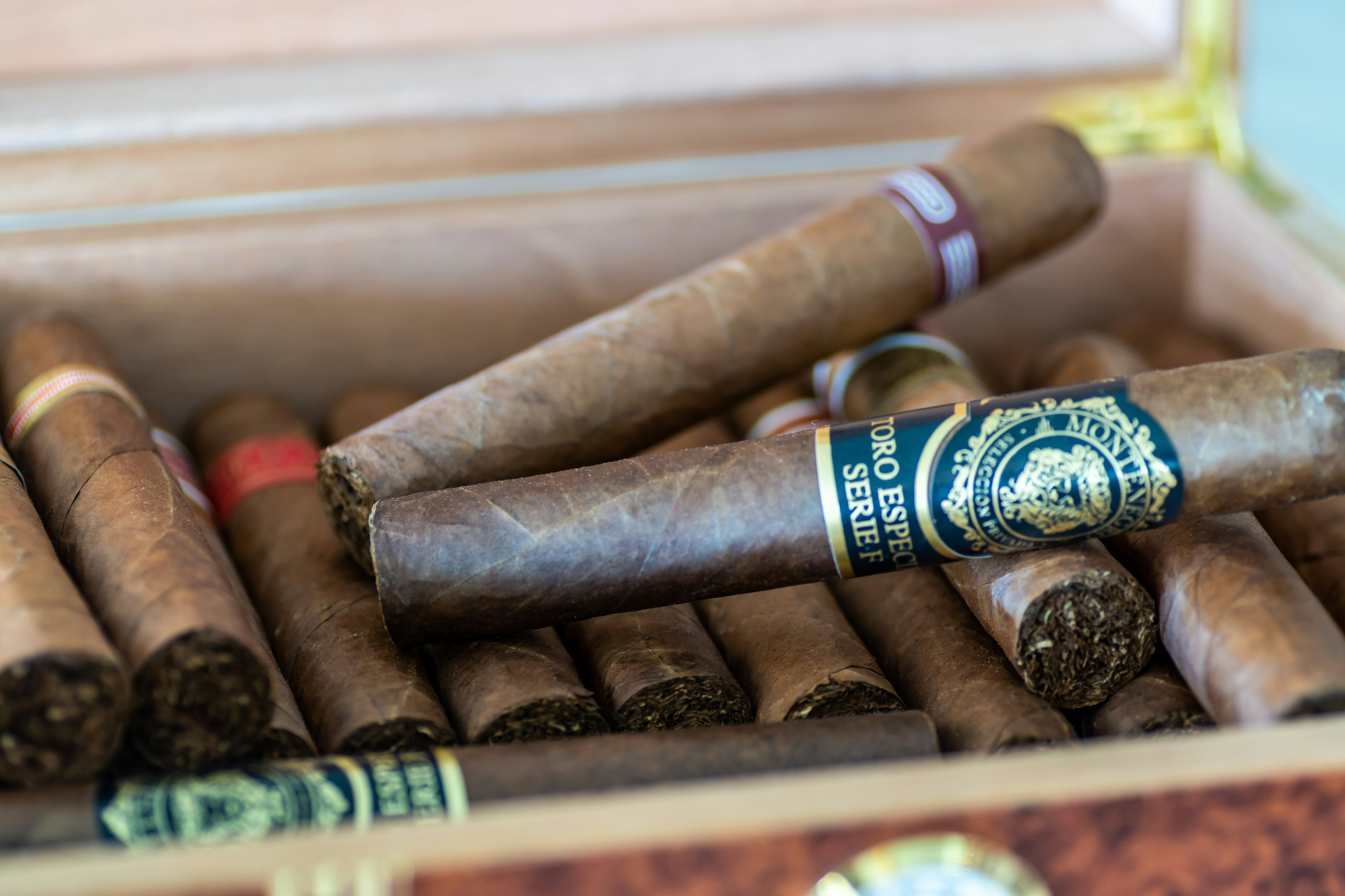 a group of cigars in a box