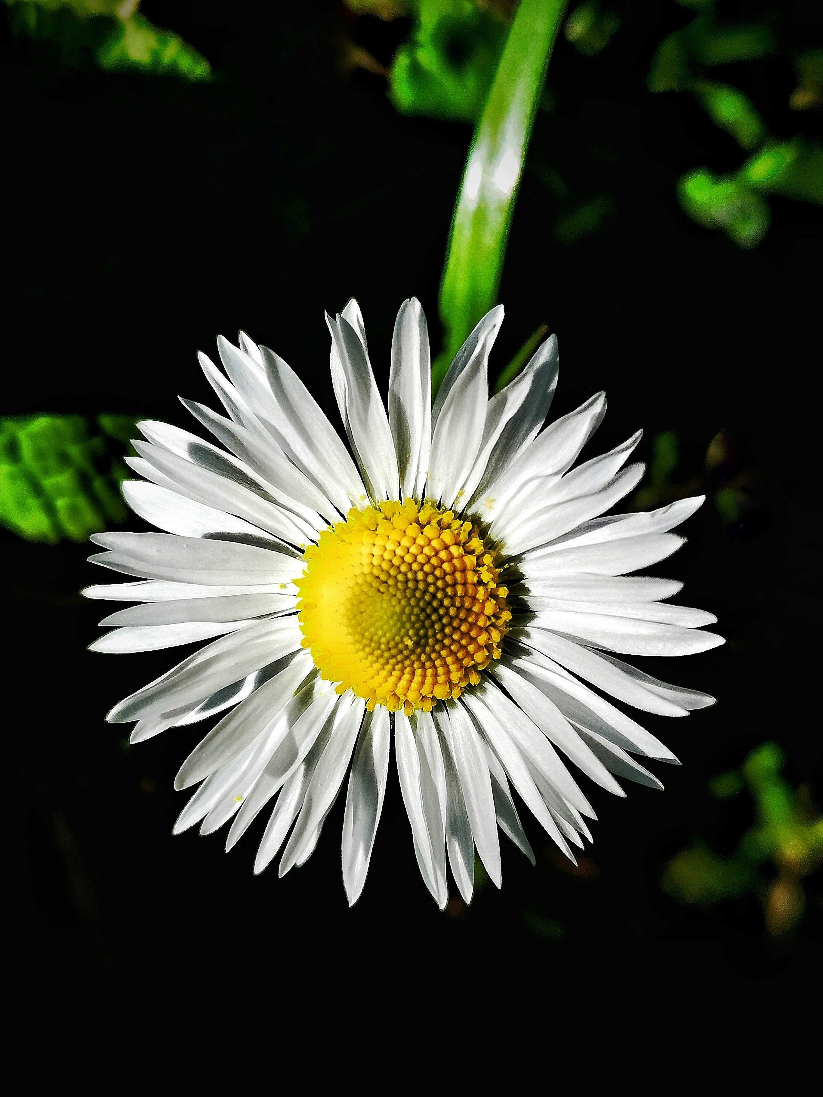 Photo by kostas_click