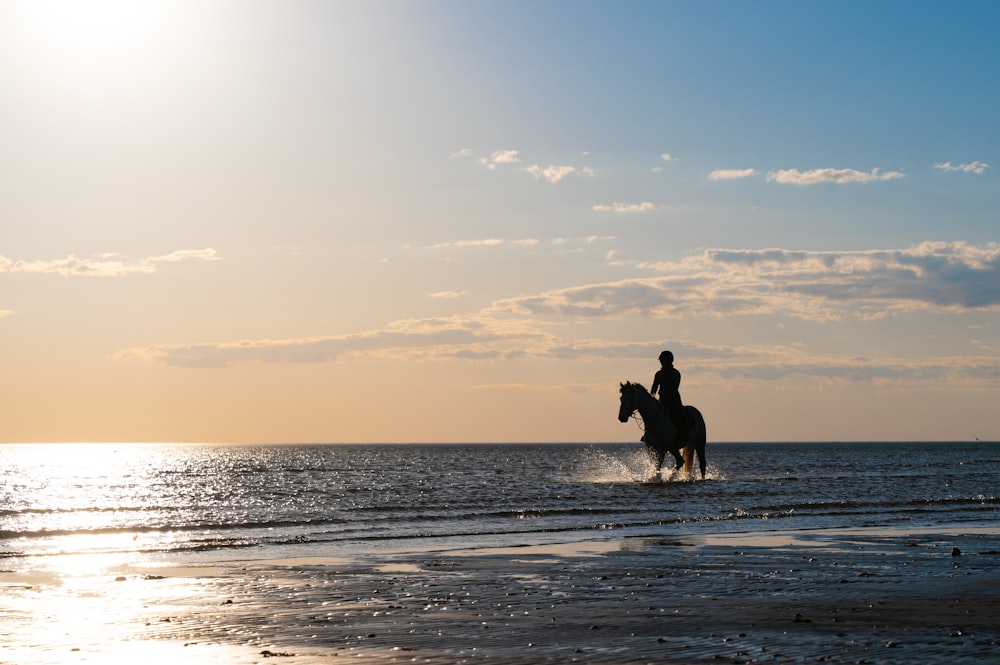 a person riding a horse on the beach