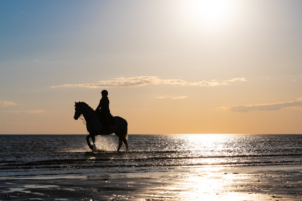 a person riding a horse on the beach