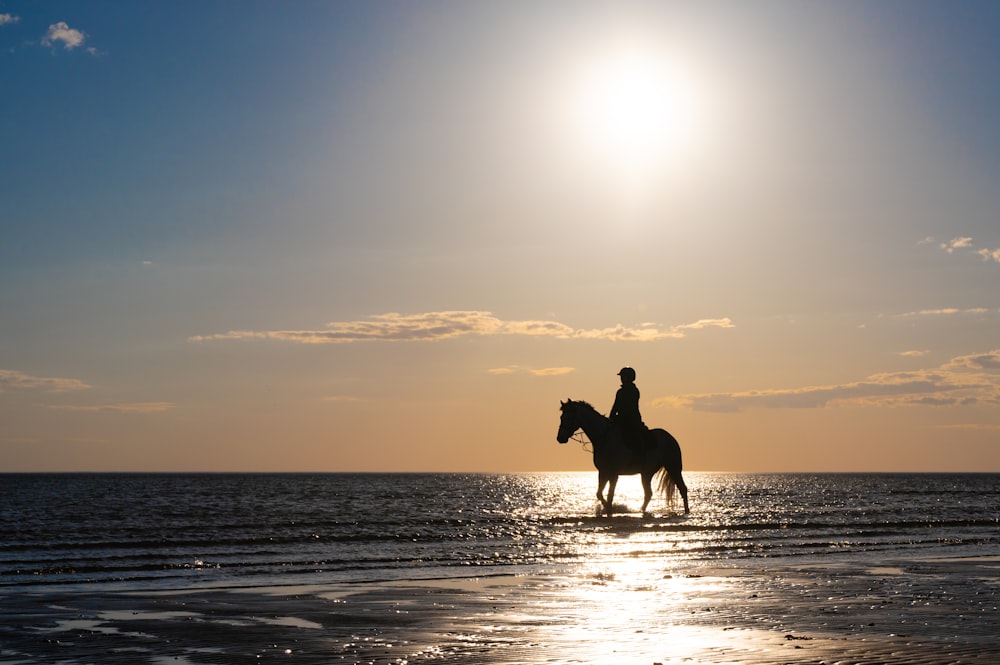 a person riding a horse on the beach