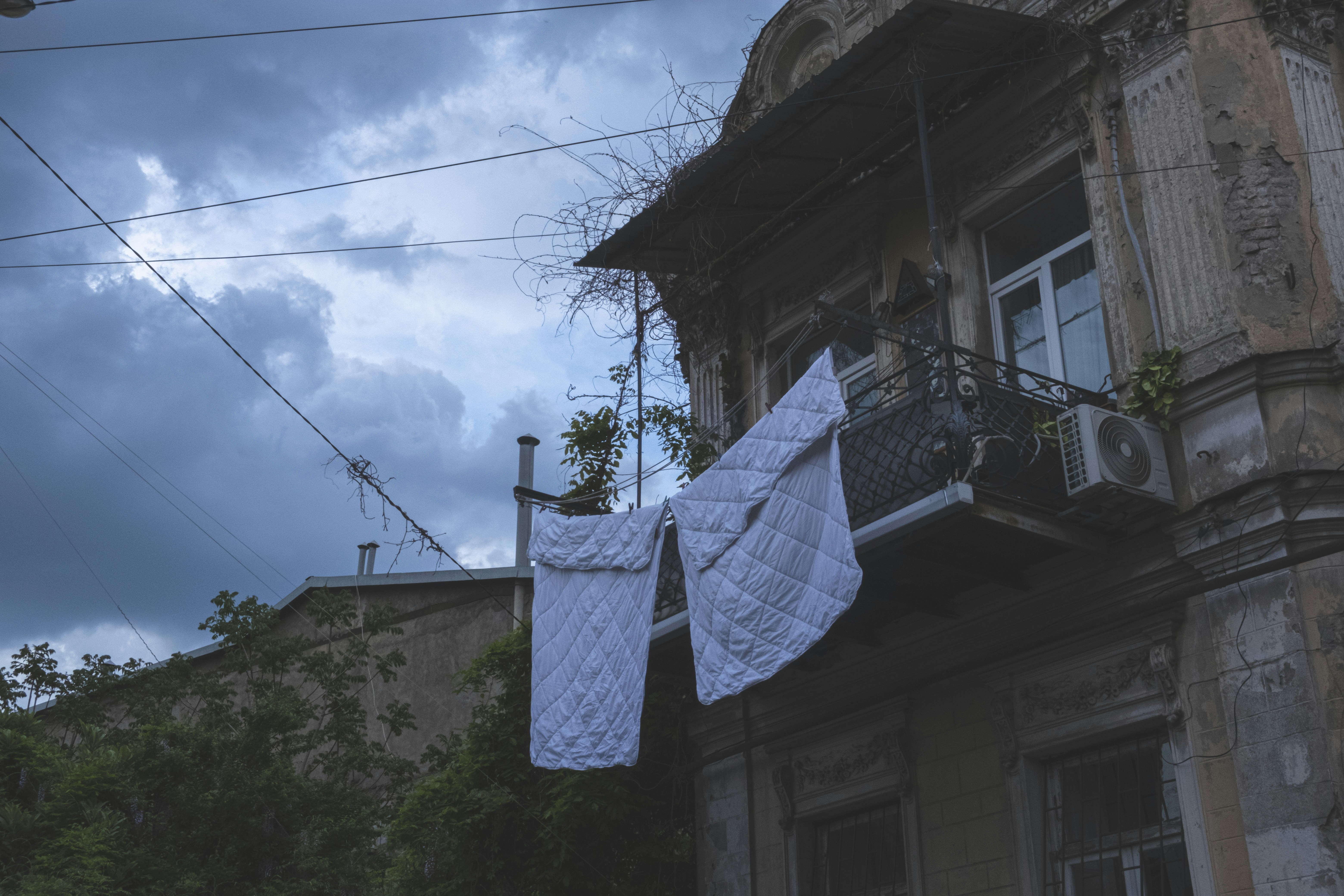 Photo by kriptgo