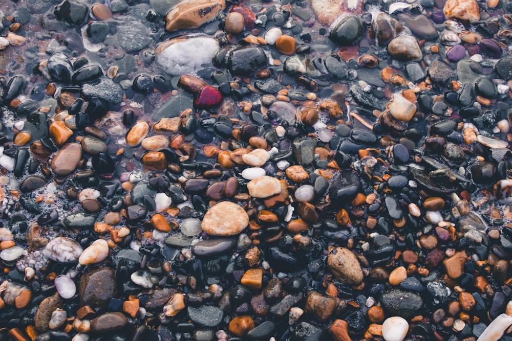 a close-up of a beach