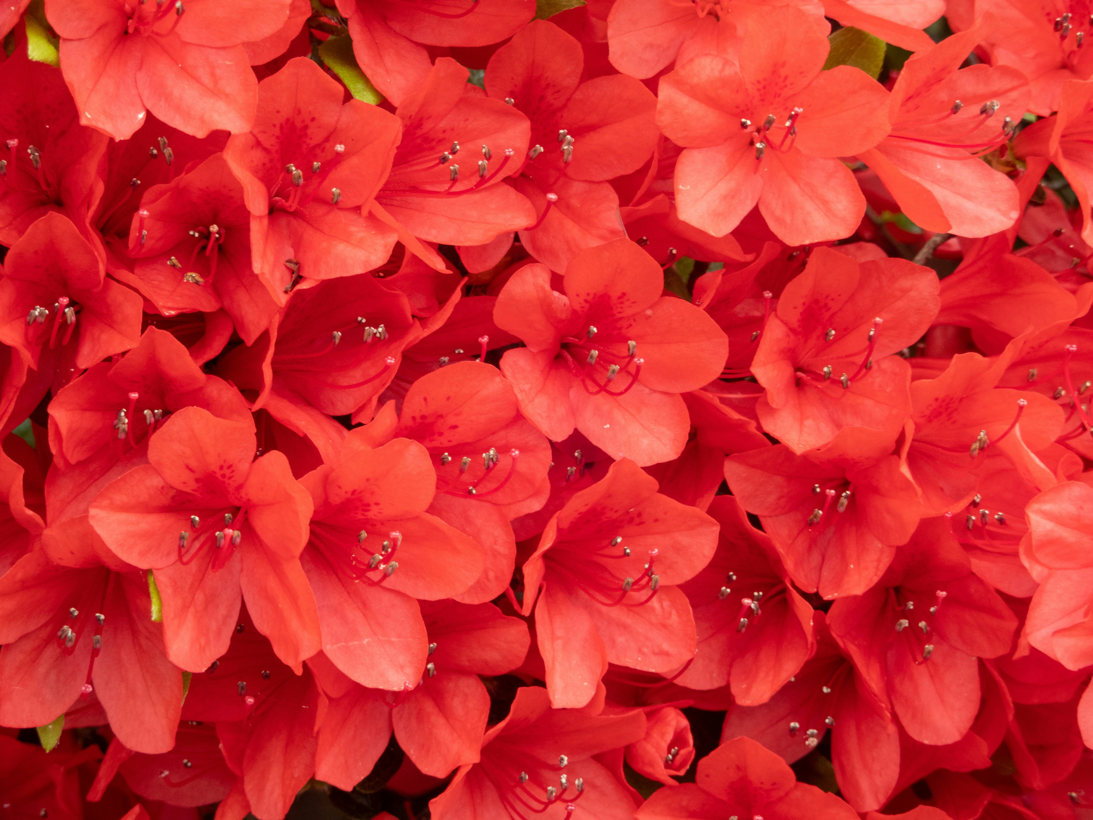 Photo by heppoko_yama