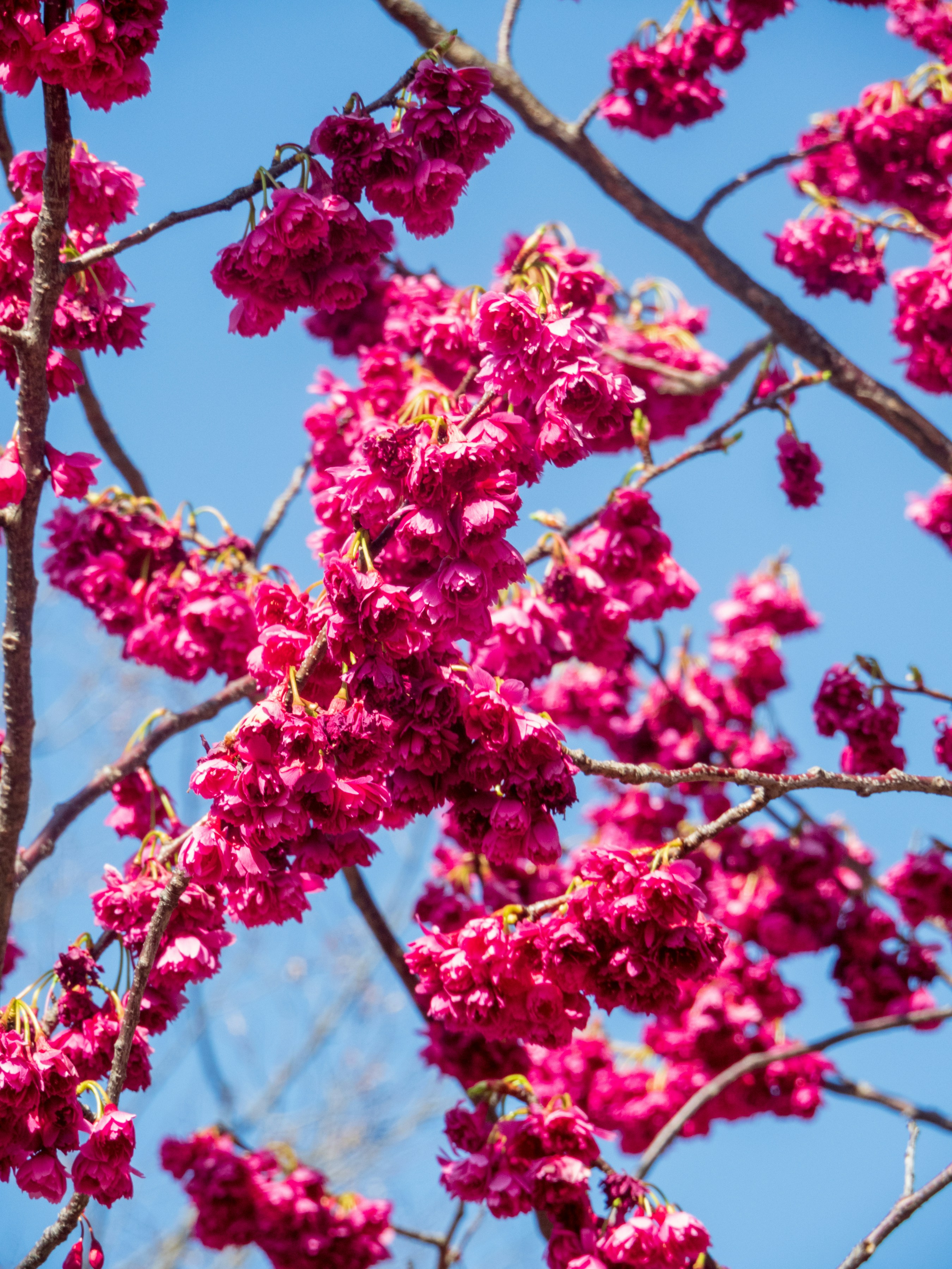 Photo by heppoko_yama