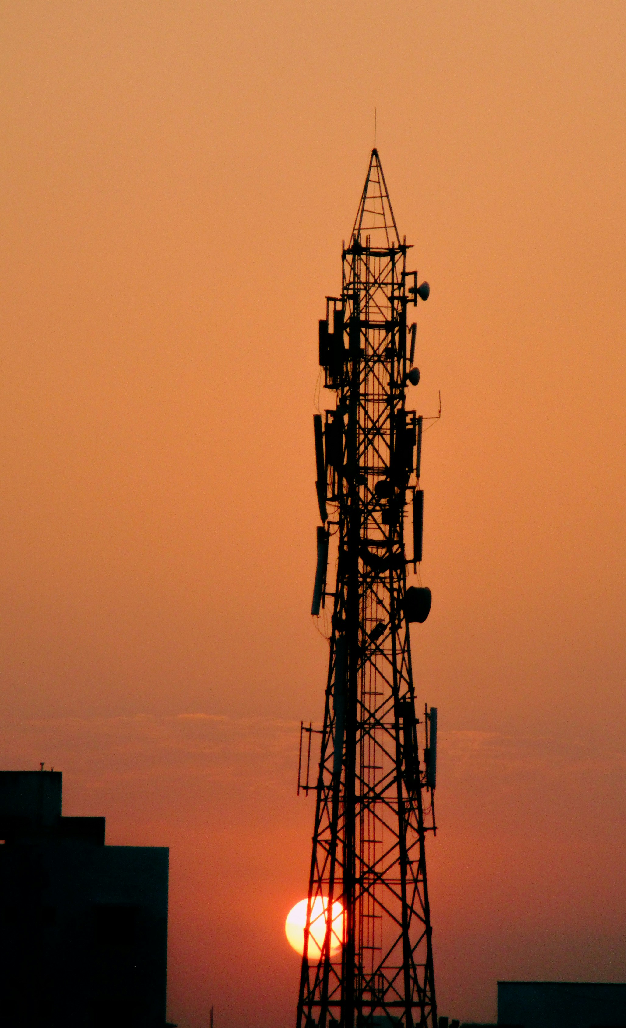 Photo by mithhhilesh