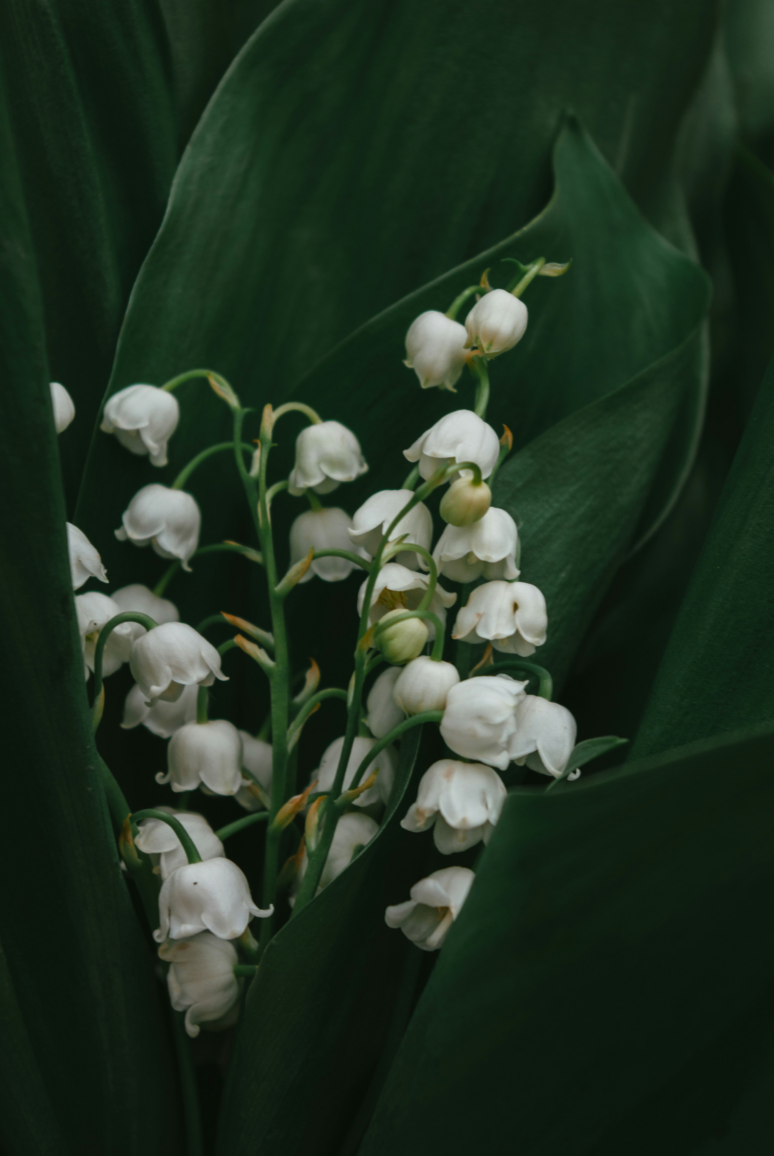 Photo by moonmoons_days