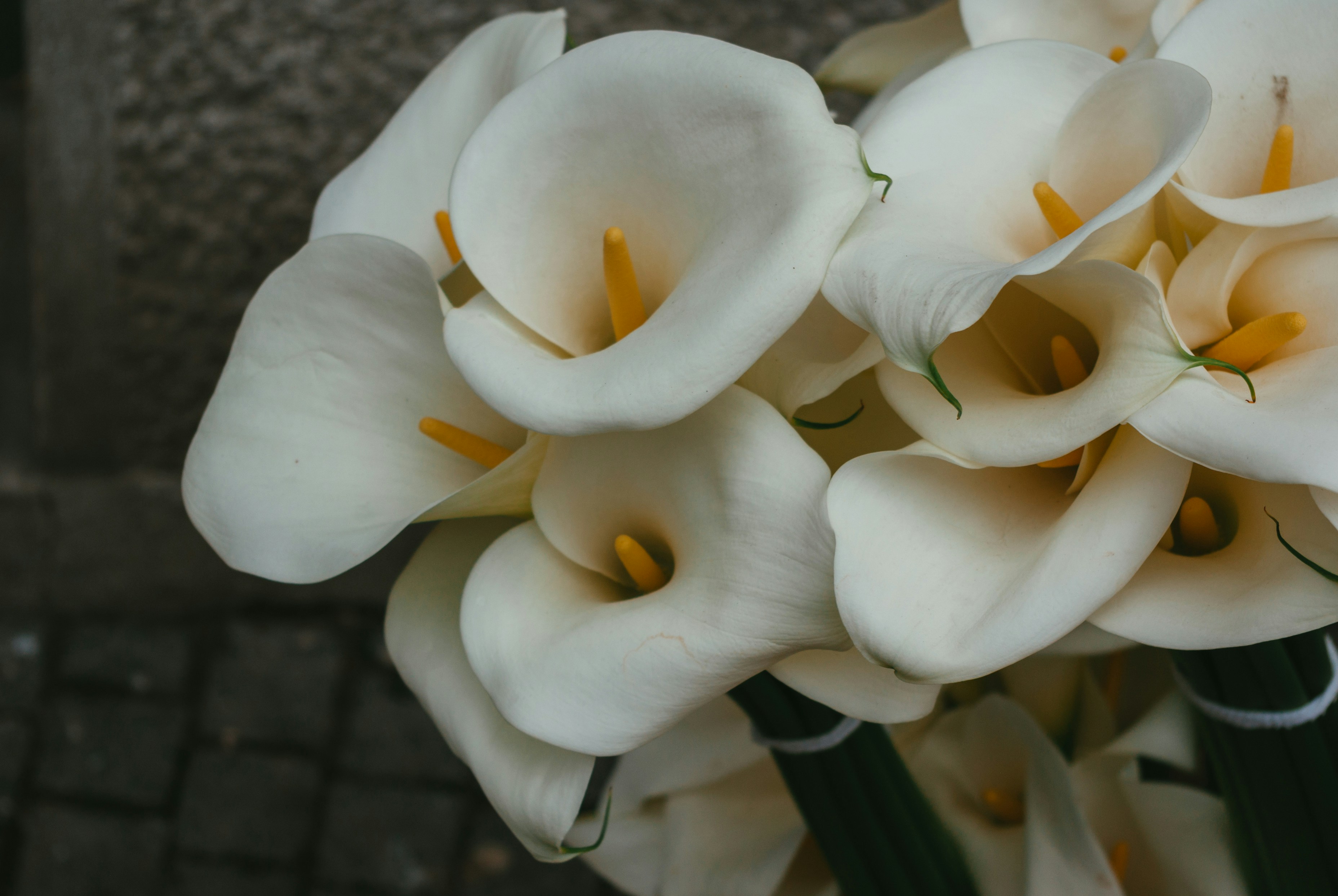 Photo by moonmoons_days