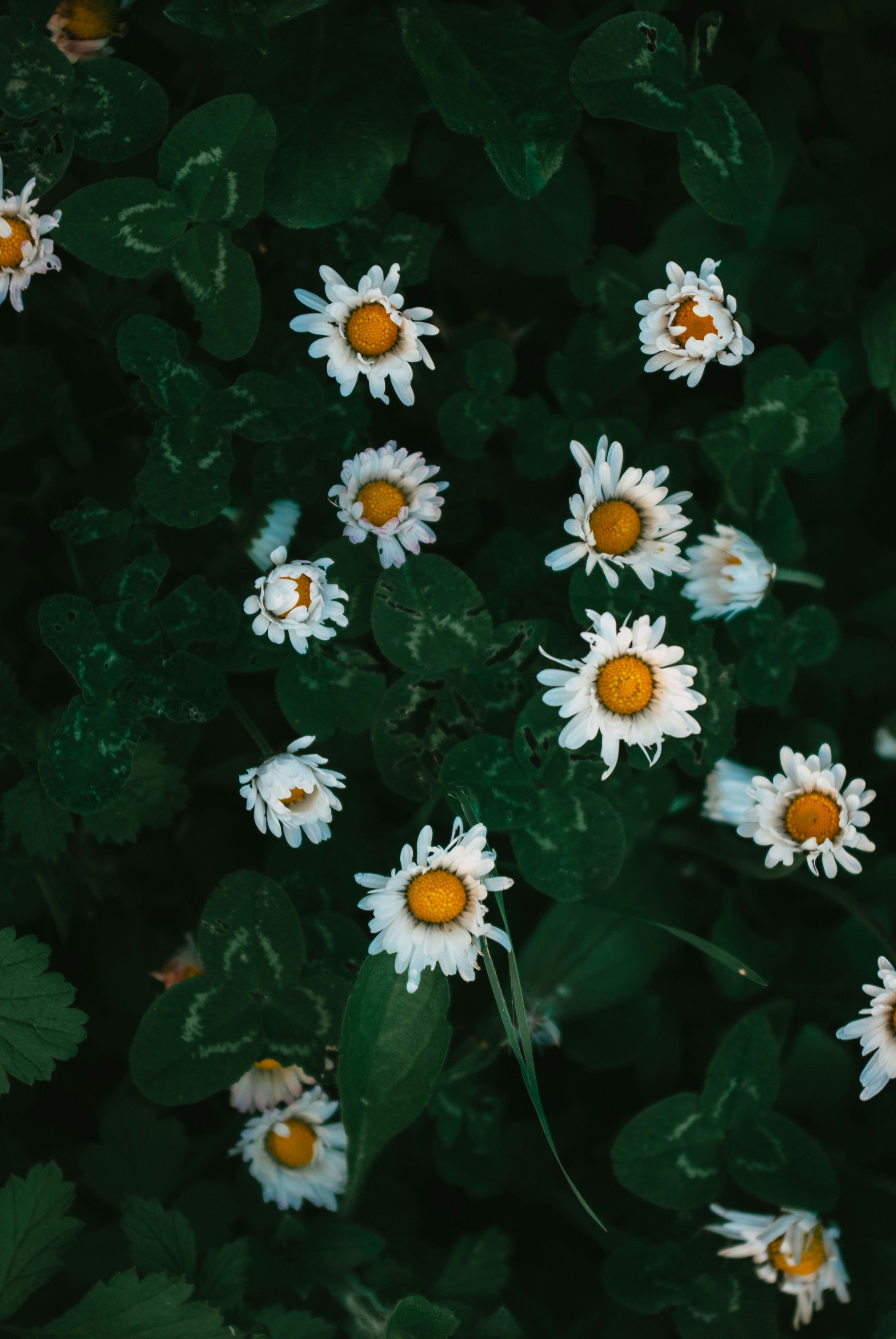 Photo by moonmoons_days