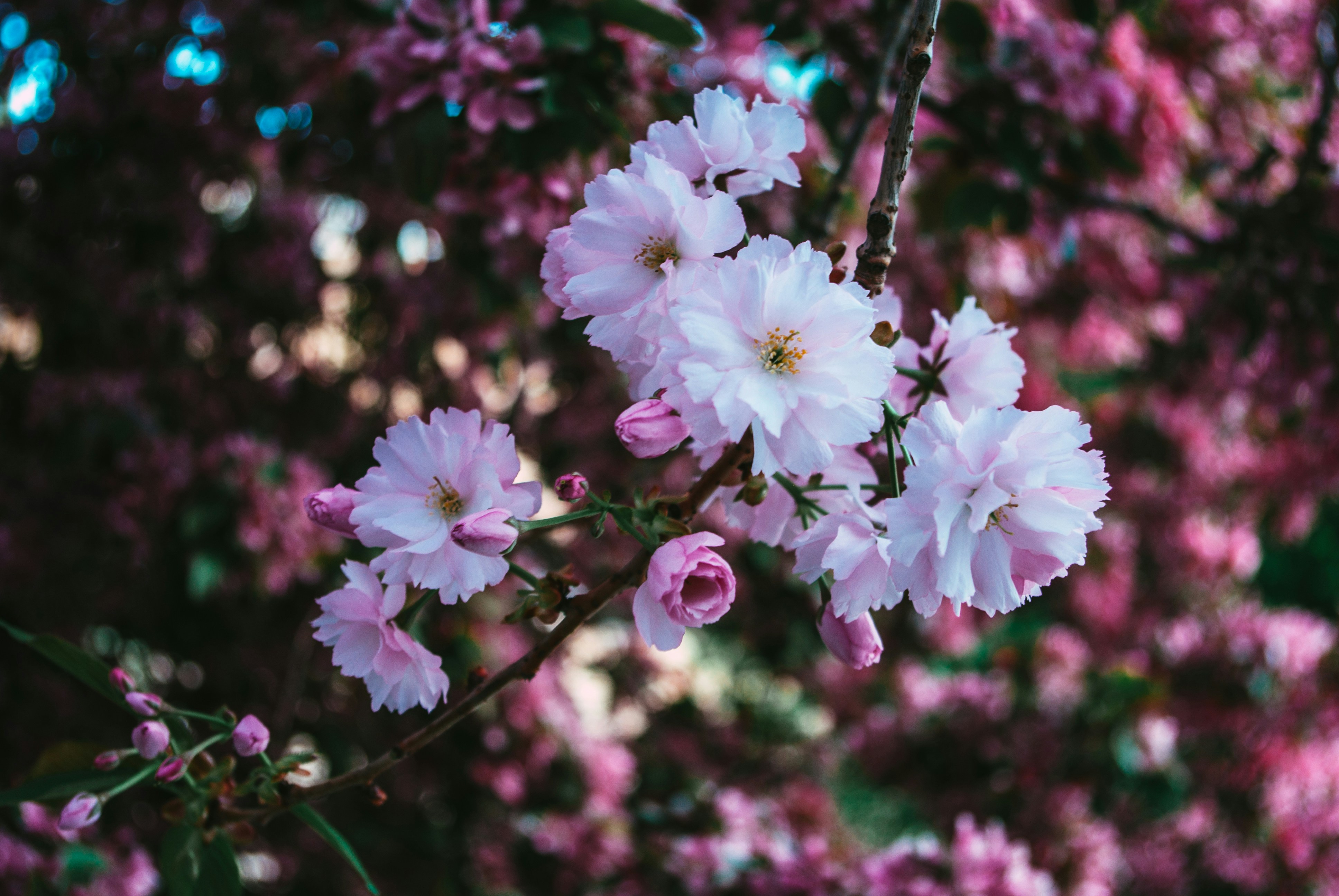 Photo by moonmoons_days