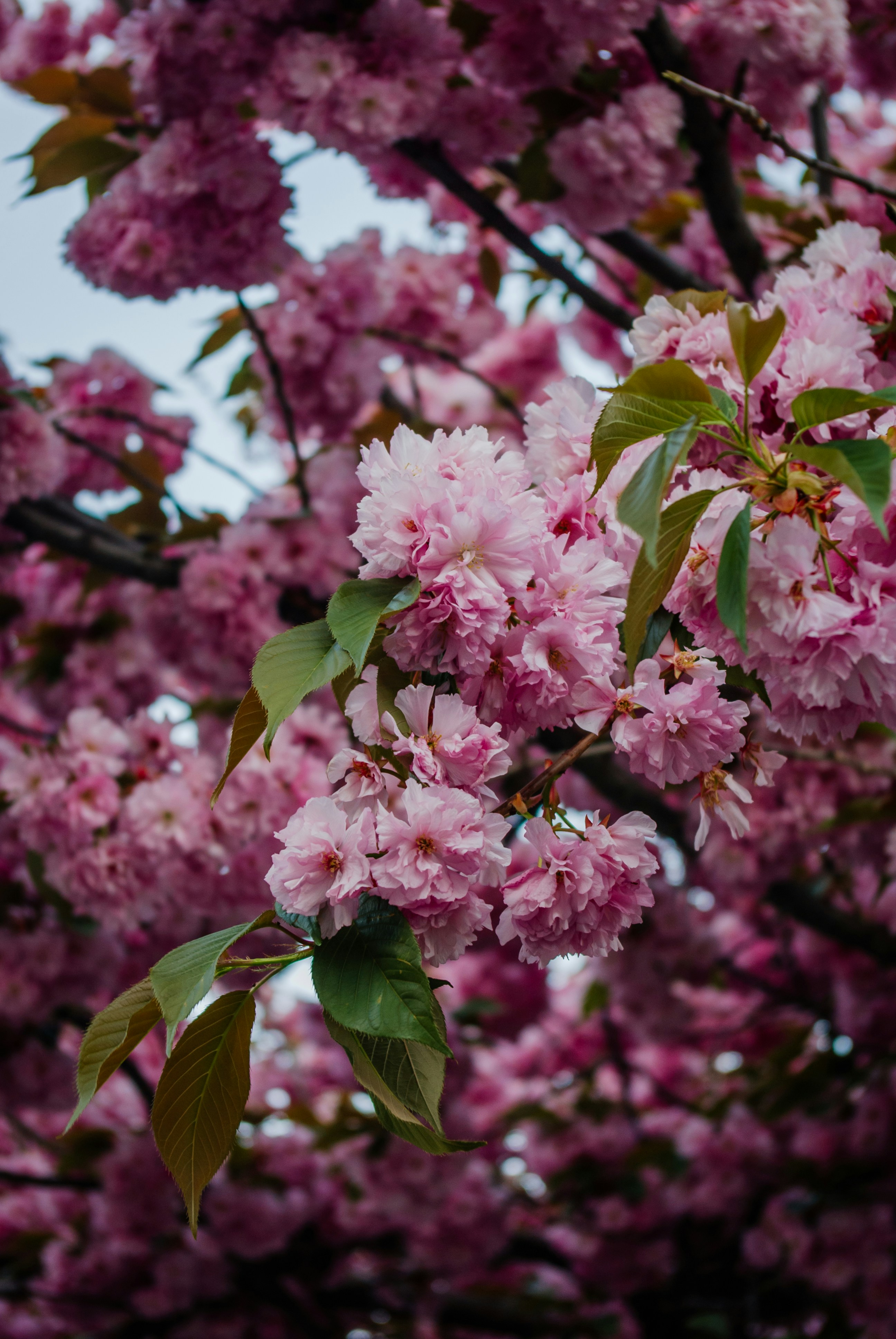 Photo by moonmoons_days