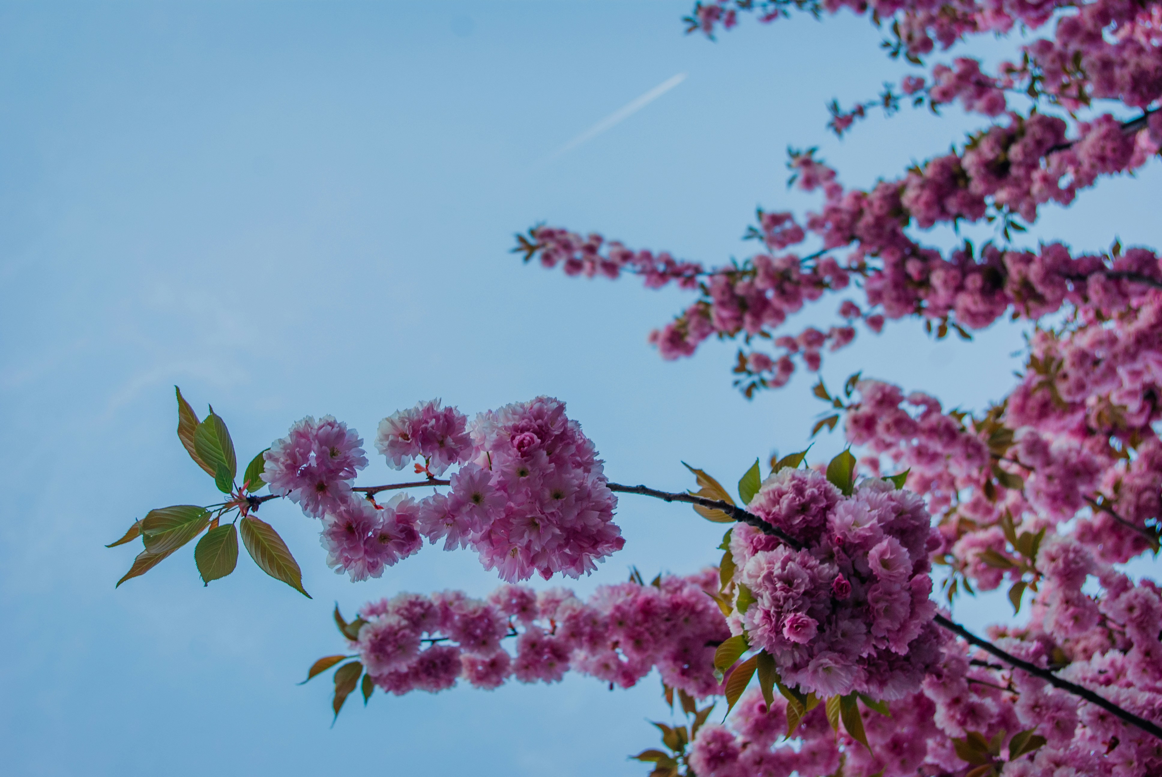 Photo by moonmoons_days