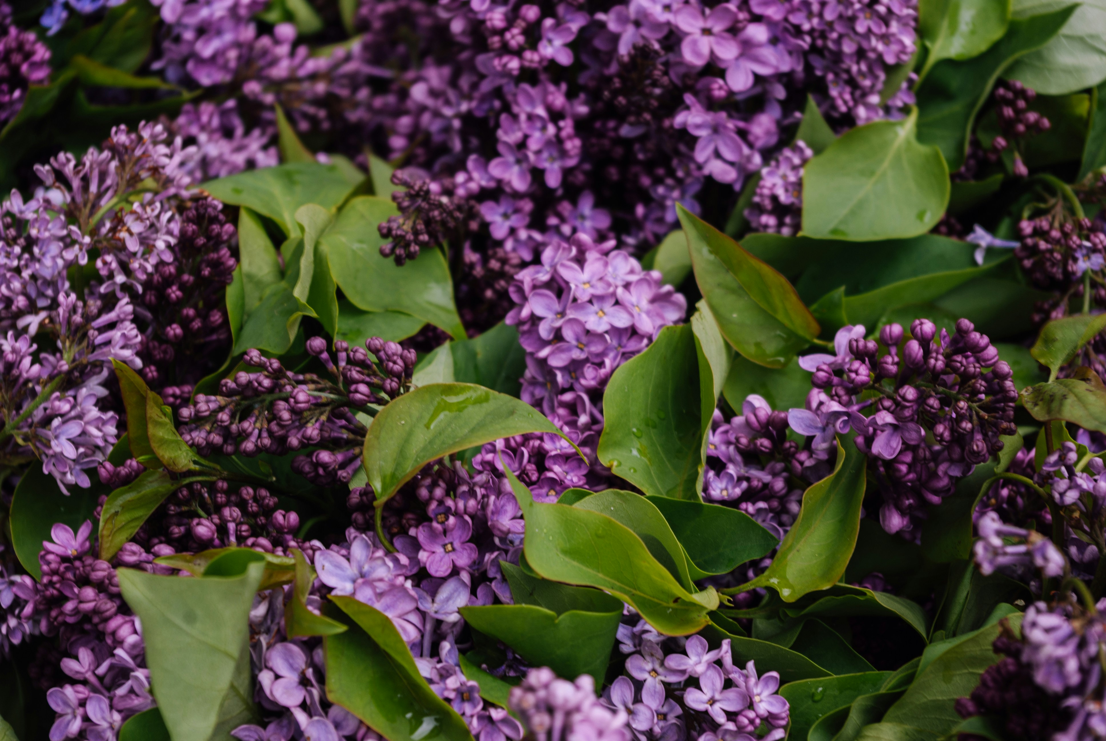 Photo by moonmoons_days