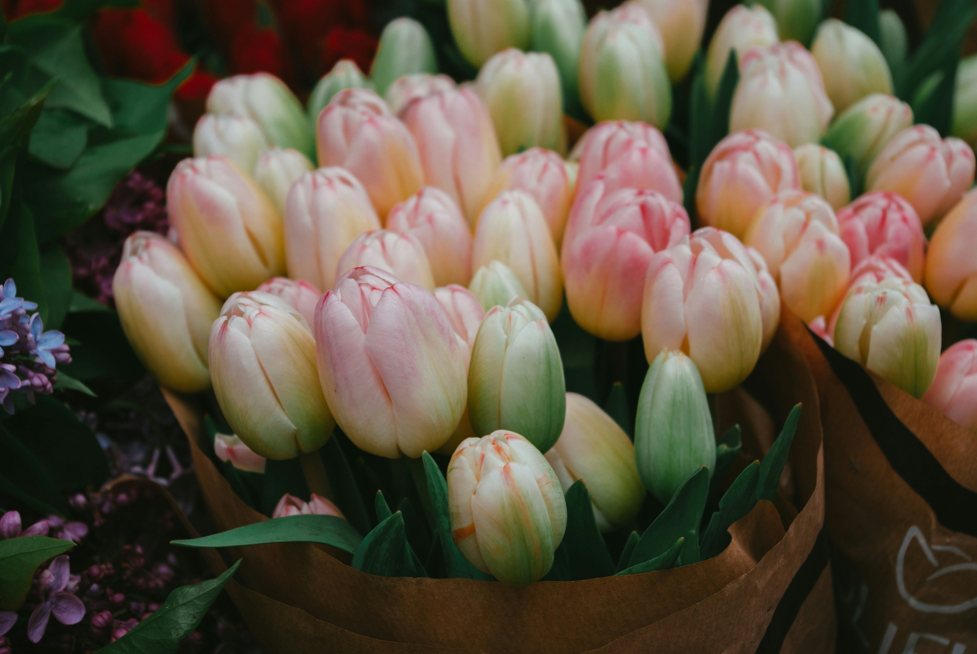 Photo by moonmoons_days