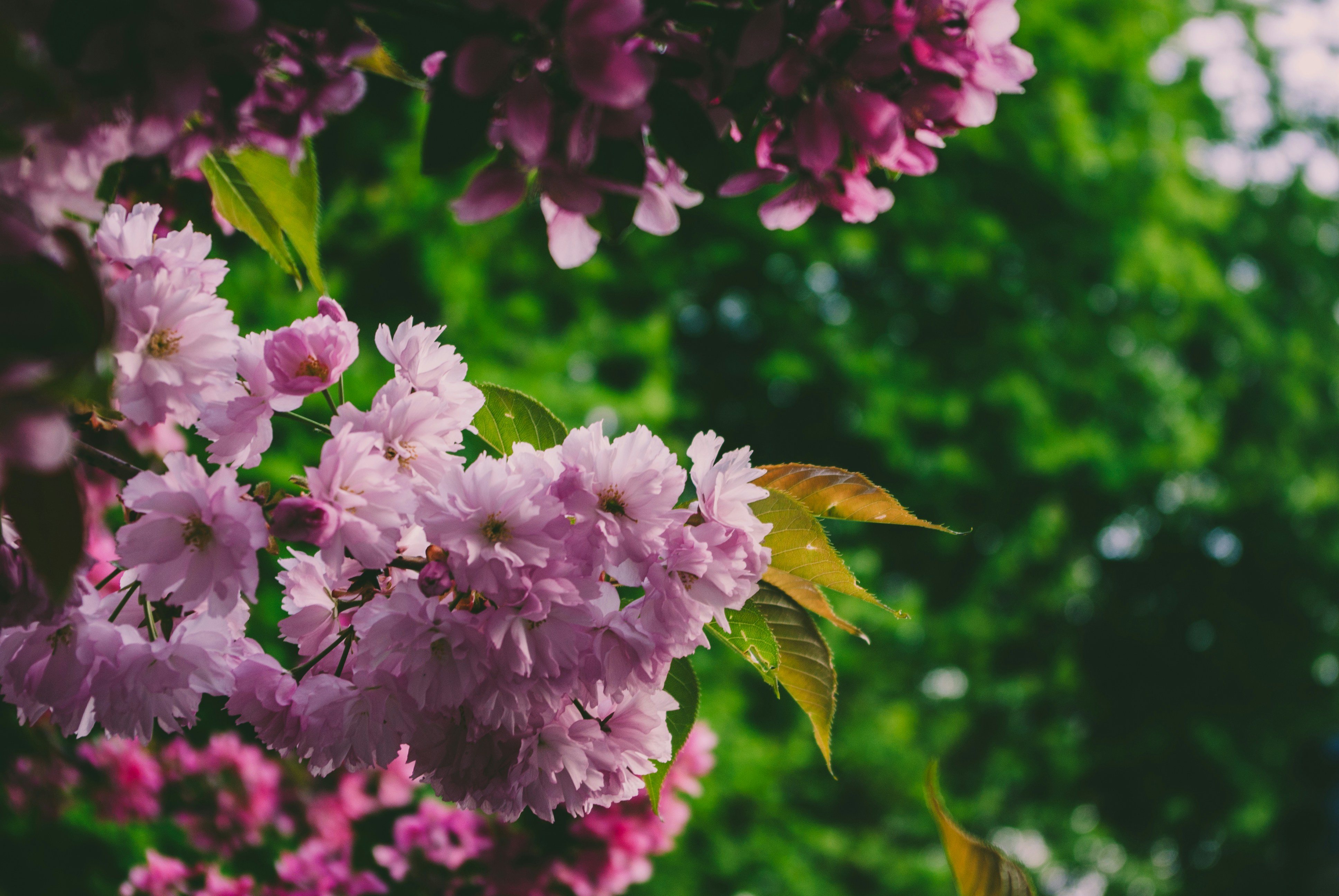 Photo by moonmoons_days