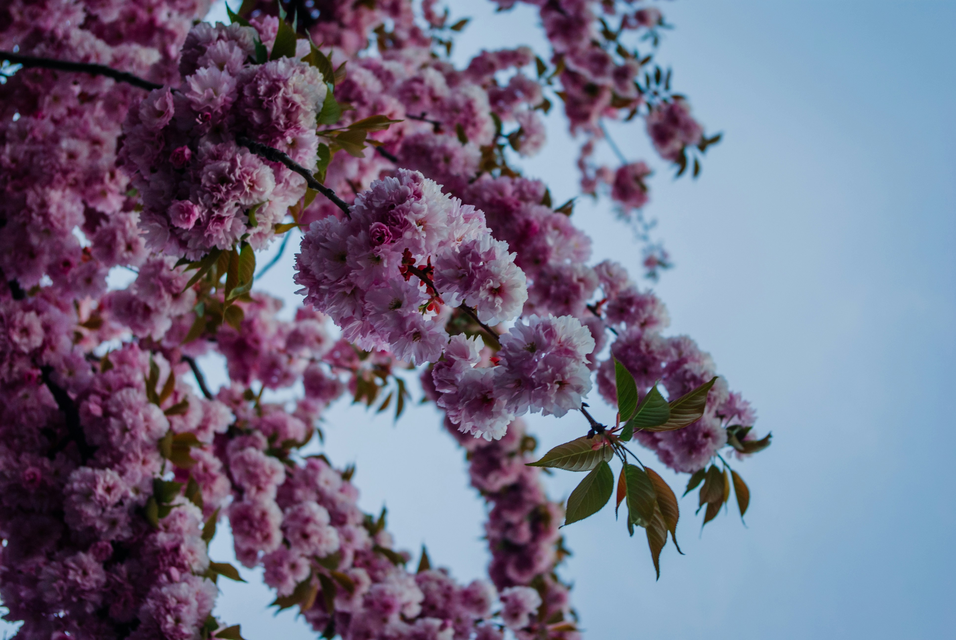 Photo by moonmoons_days