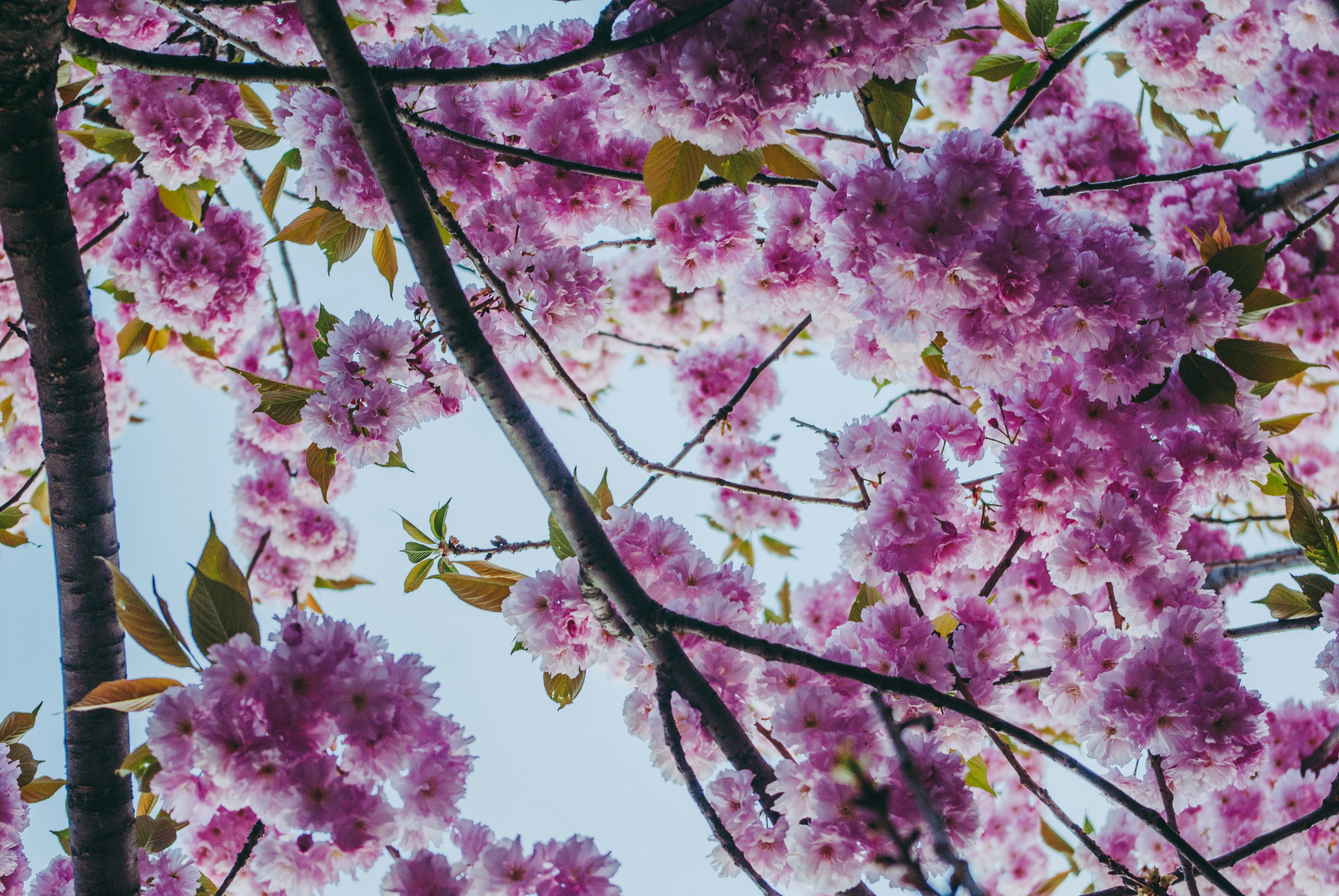 Photo by moonmoons_days