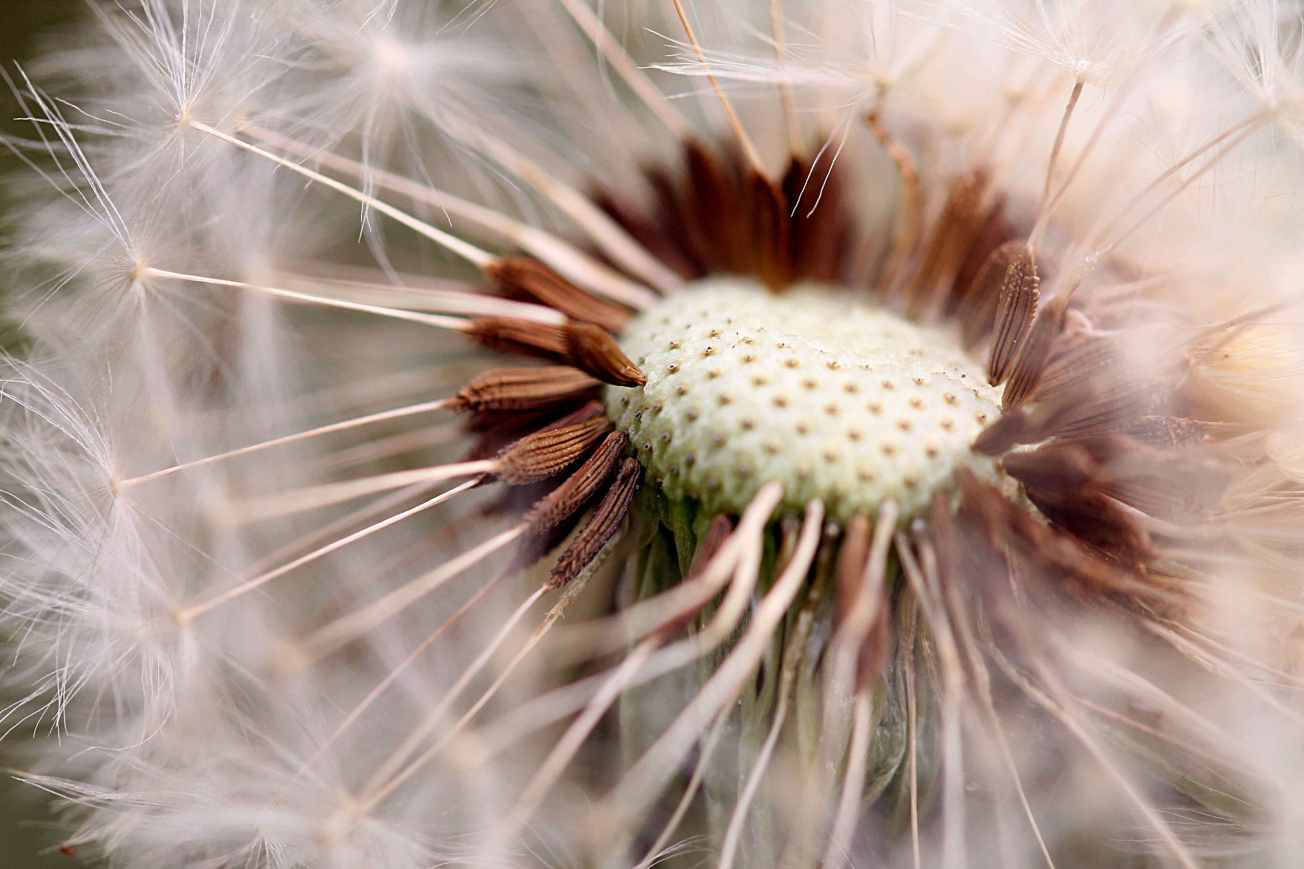 Photo by ninahanfeld