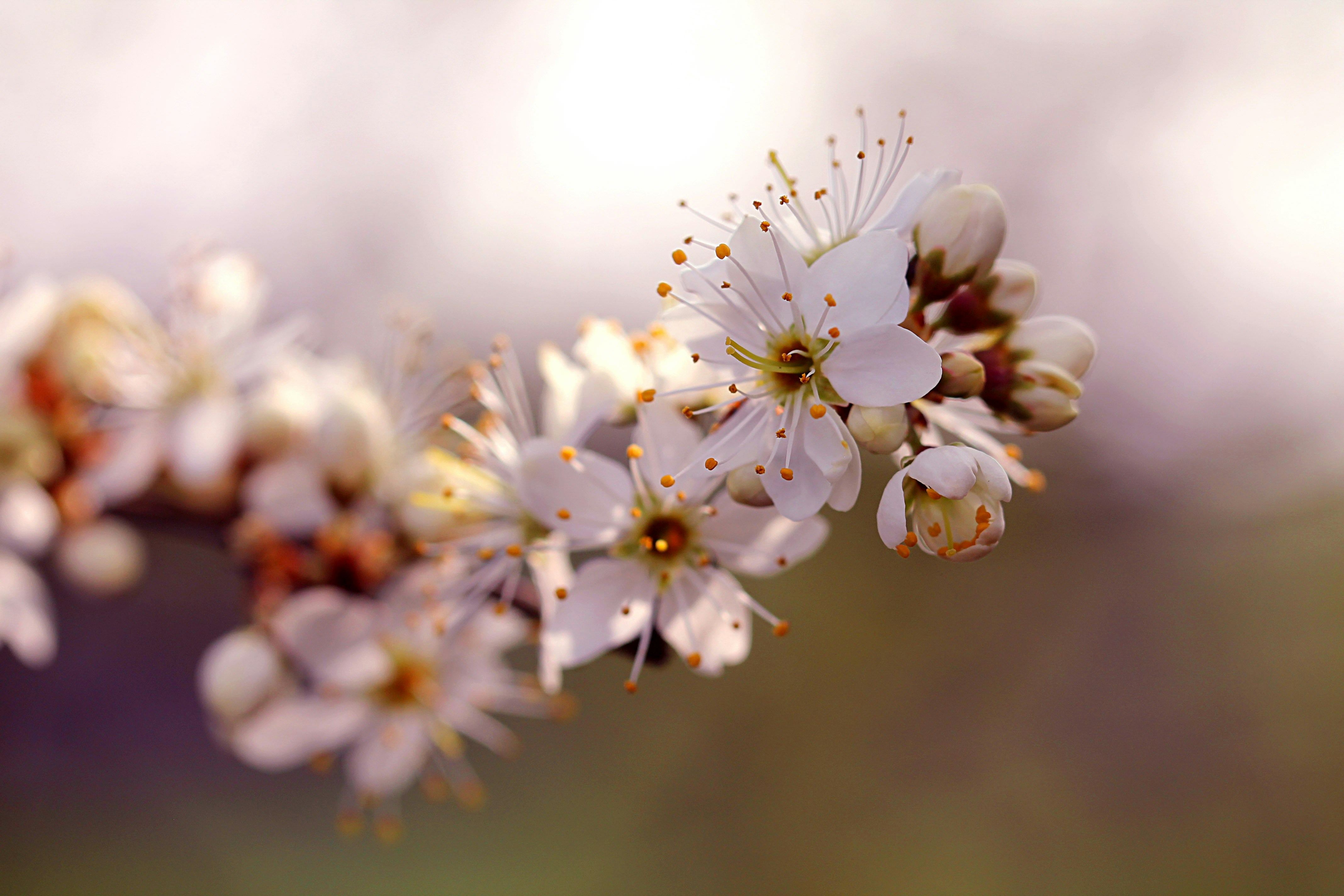 Photo by ninahanfeld