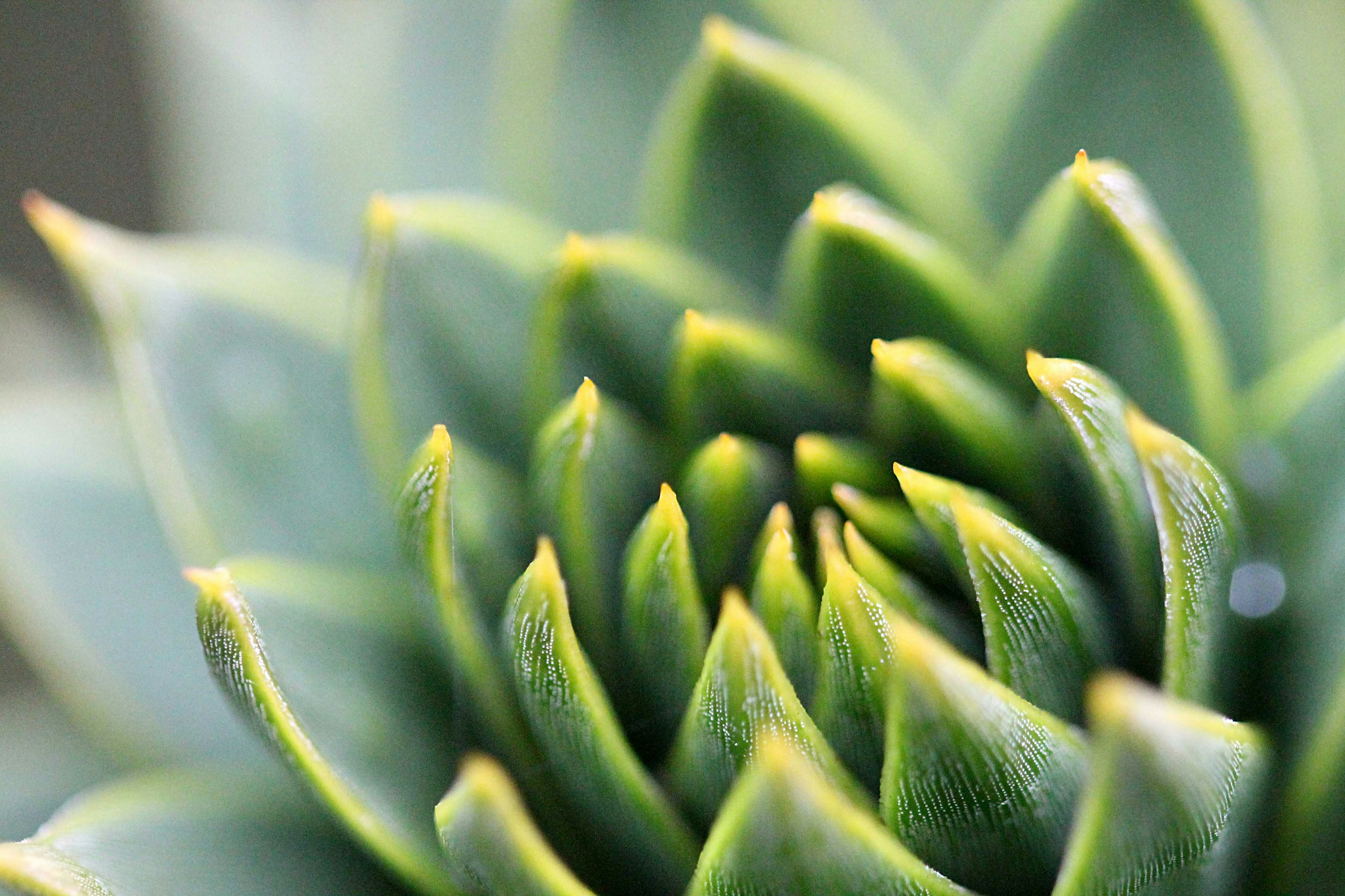 Photo by ninahanfeld