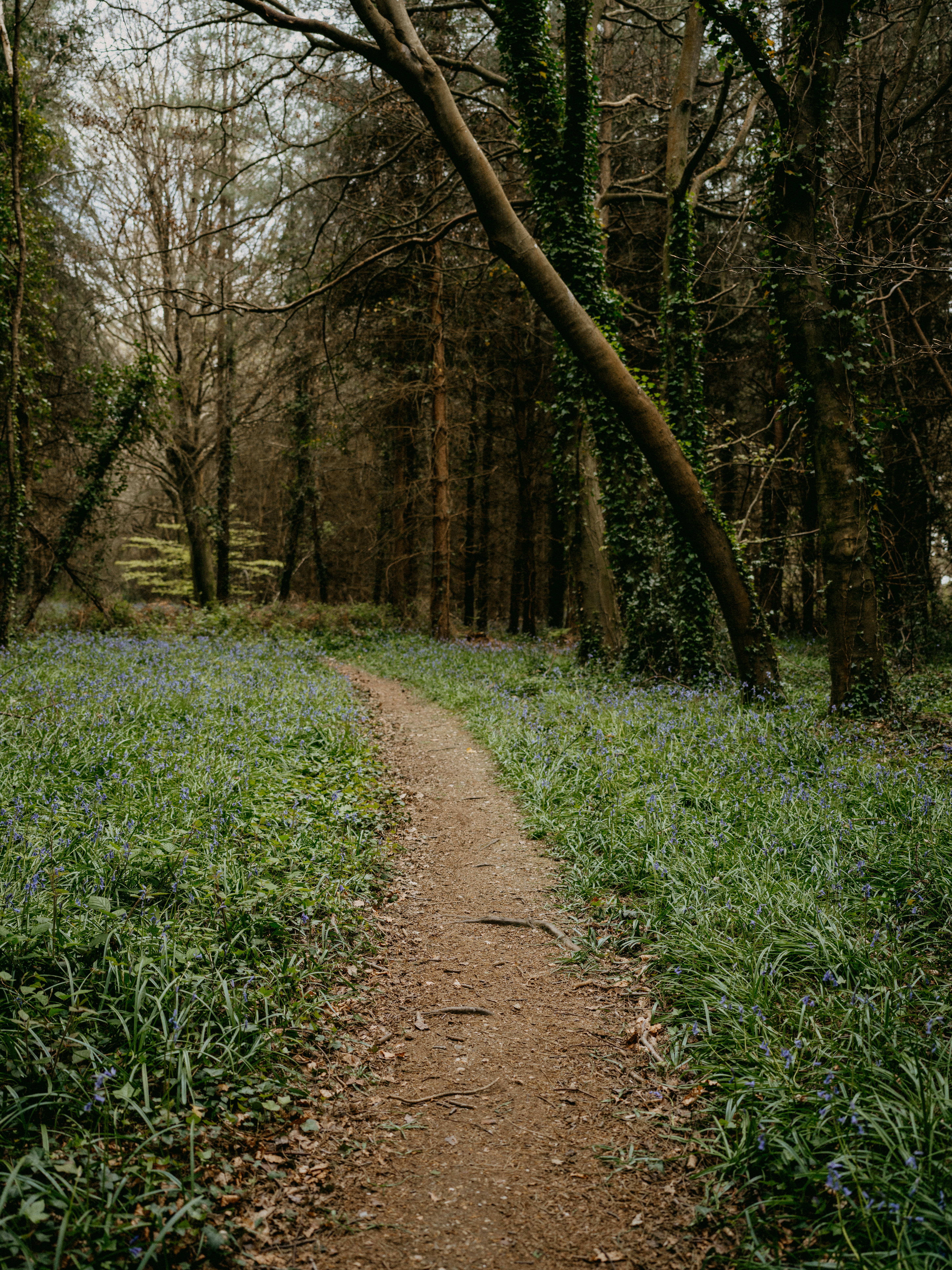 Photo by anniespratt