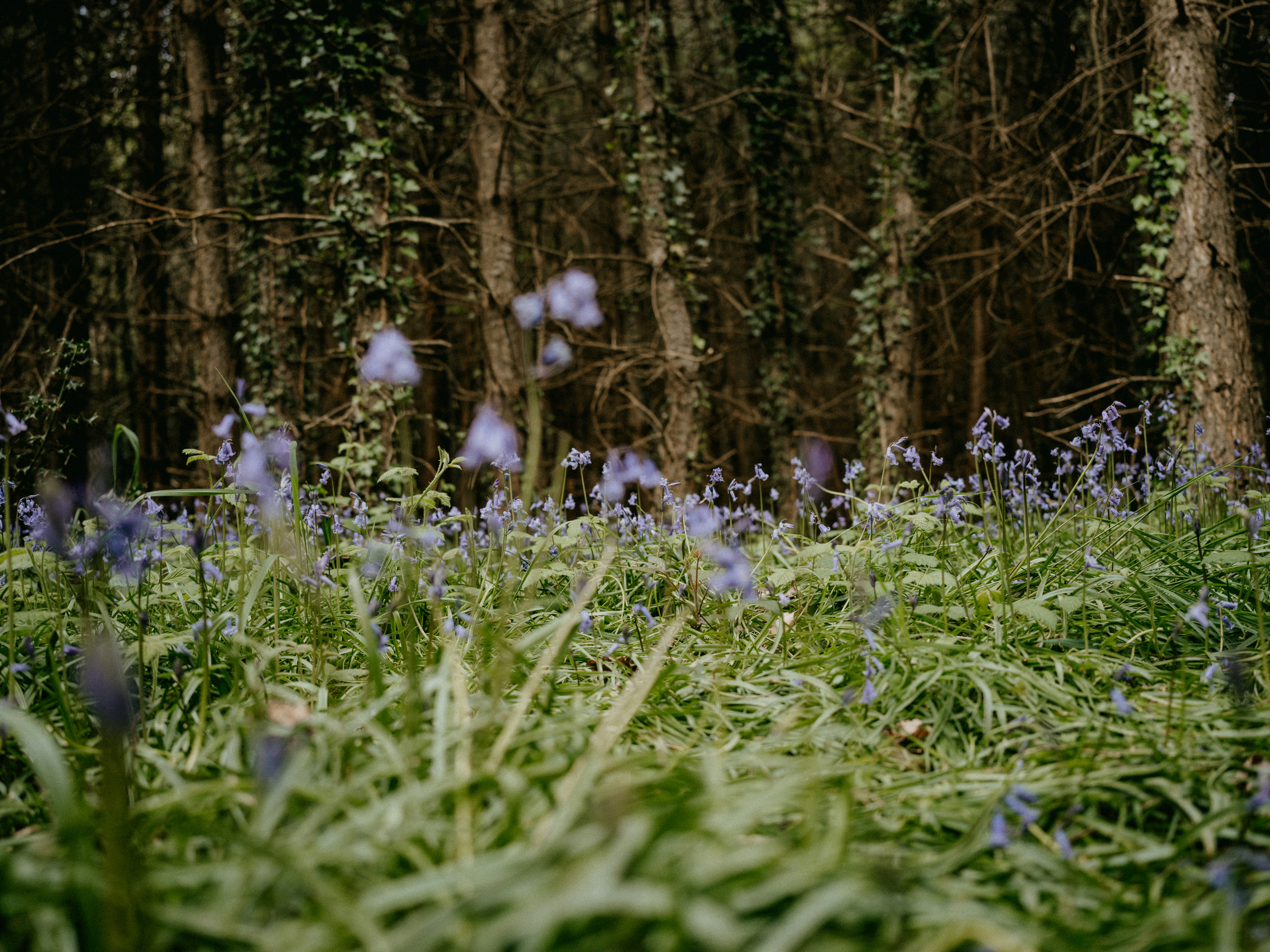 Photo by anniespratt