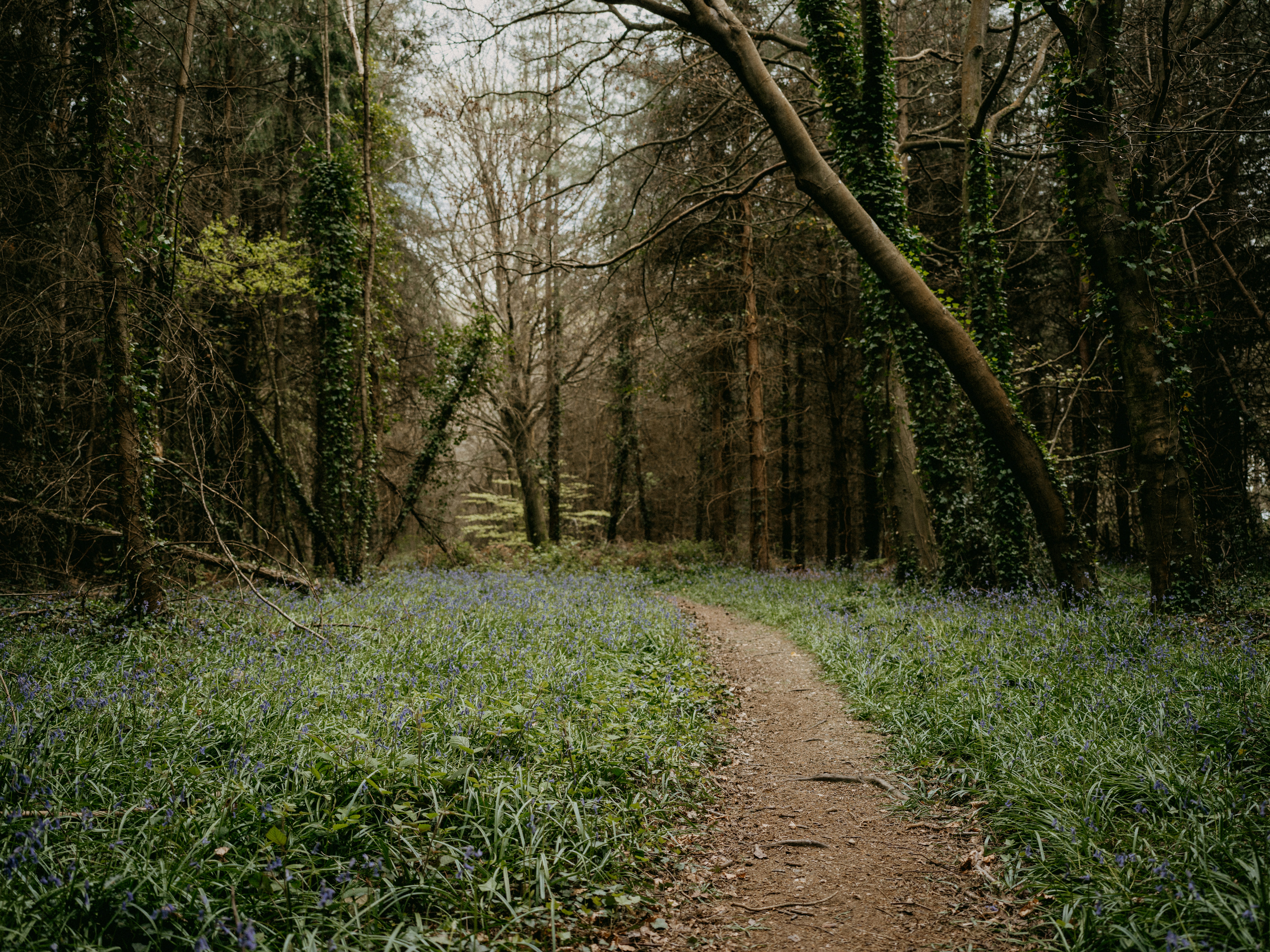 Photo by anniespratt