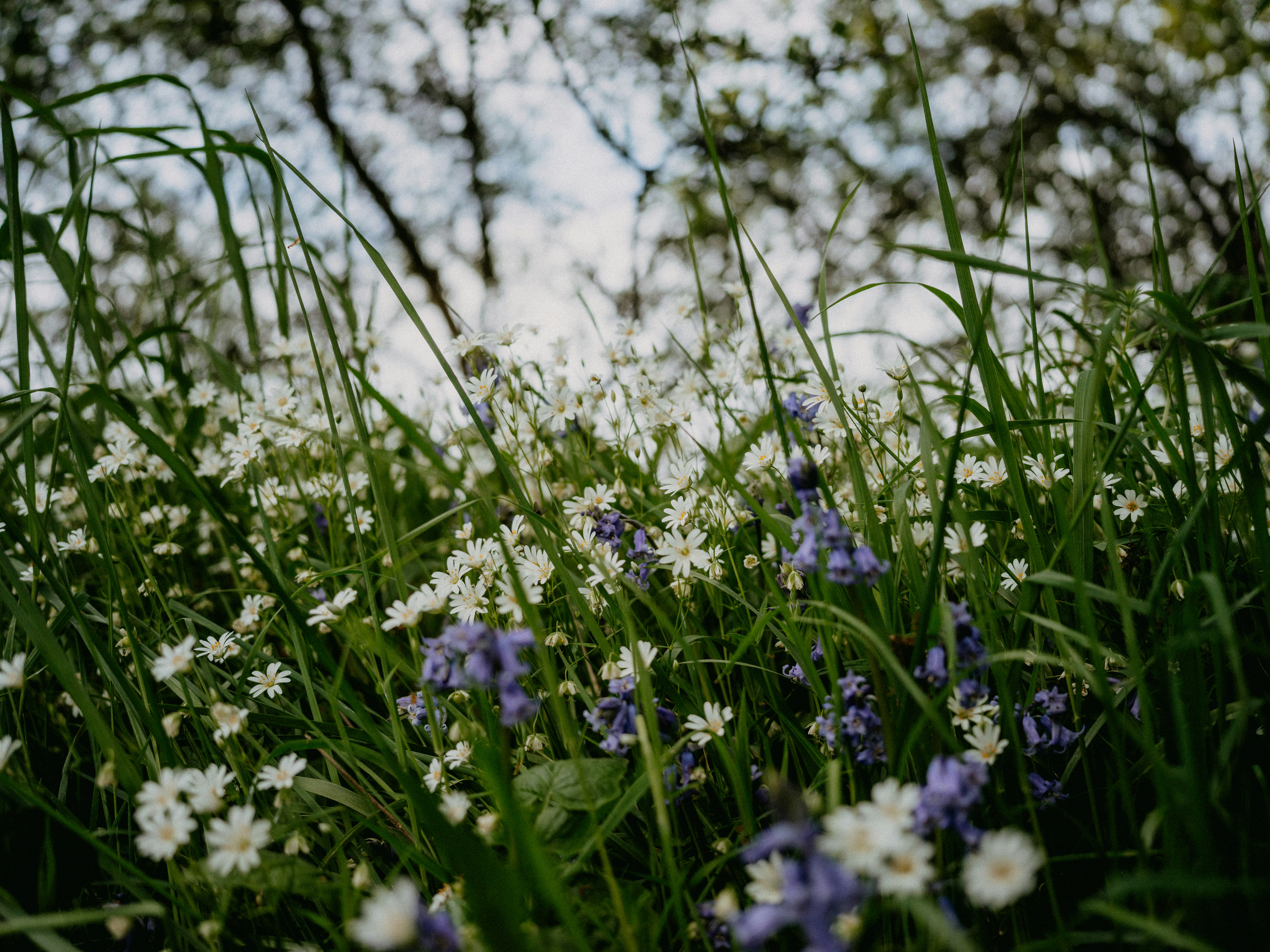 Photo by anniespratt