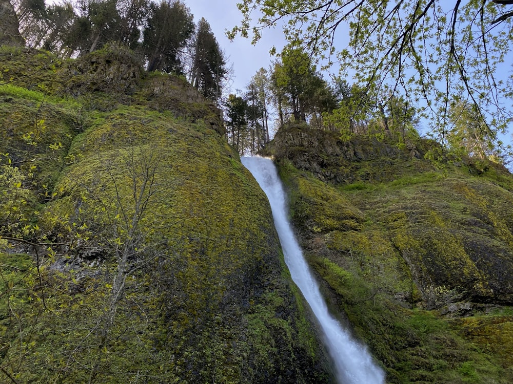 a waterfall in a forest