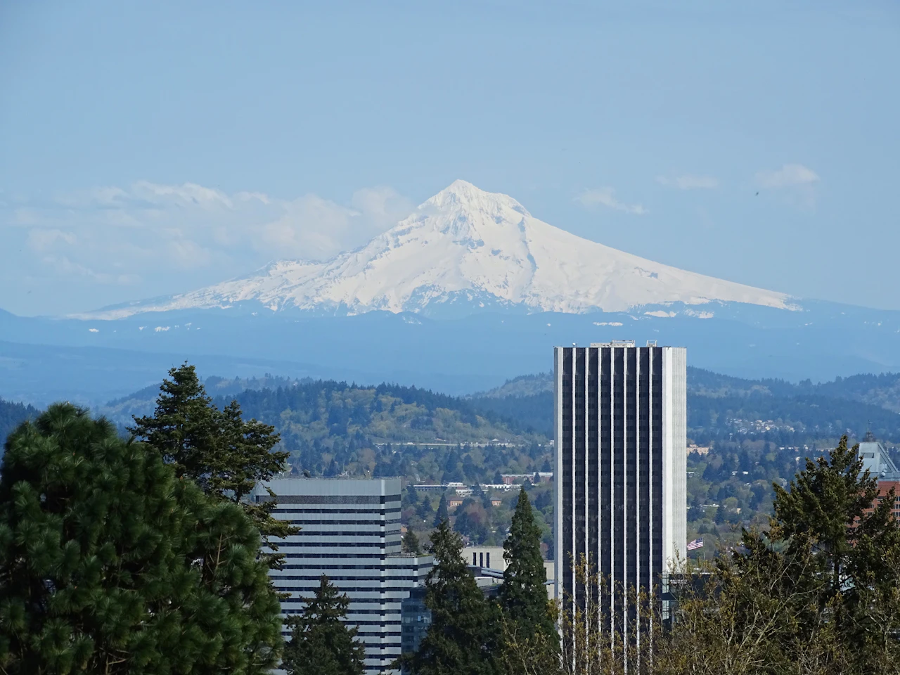 The Opportunity Zone Working Capital Safe Harbor