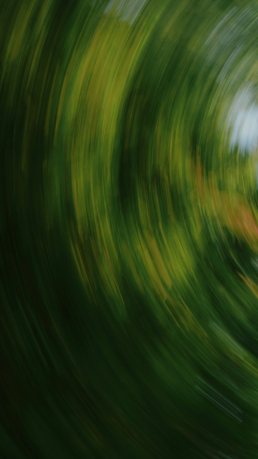 a close up of a green grass