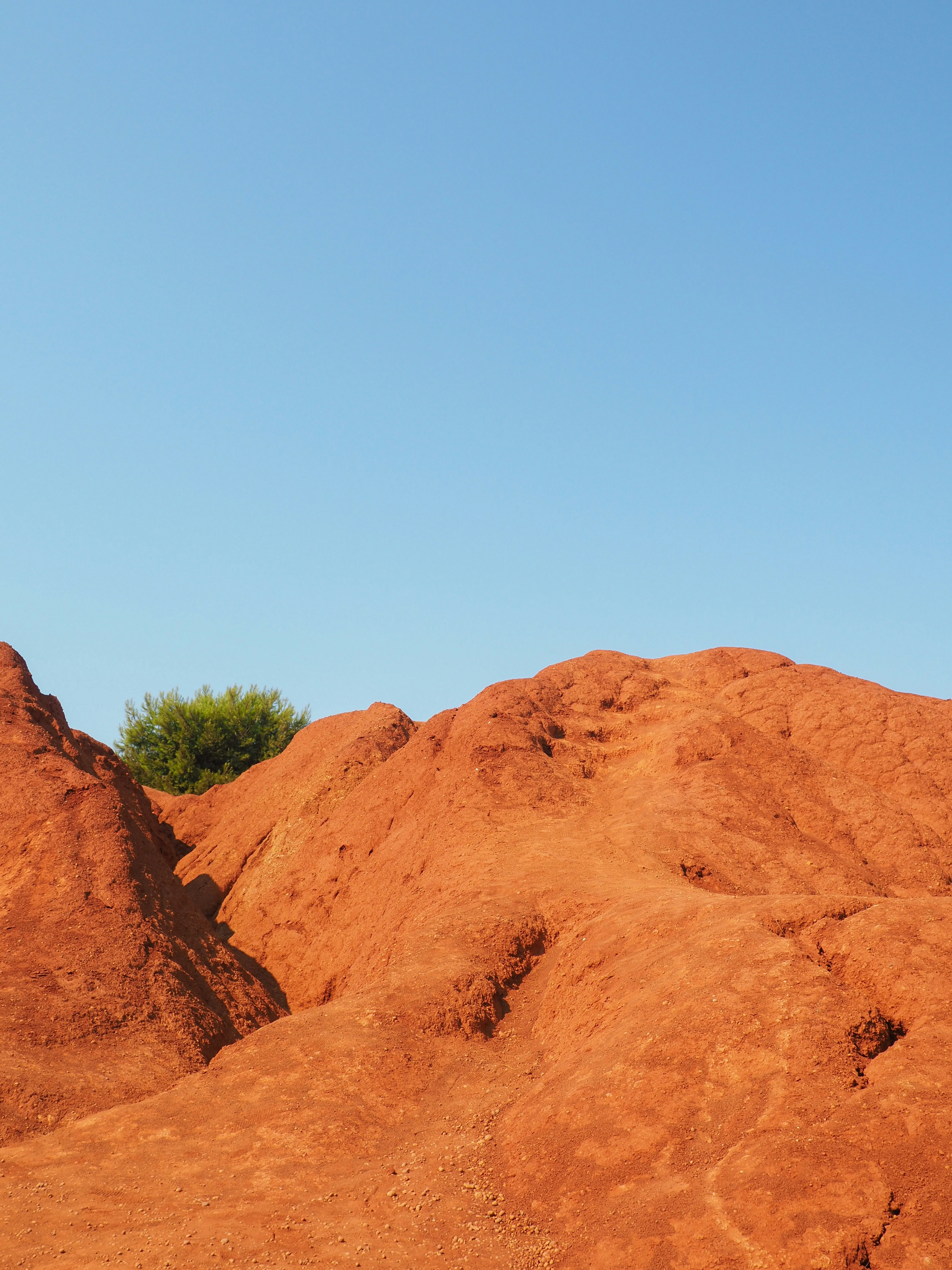 Photo by filippobiasiolo