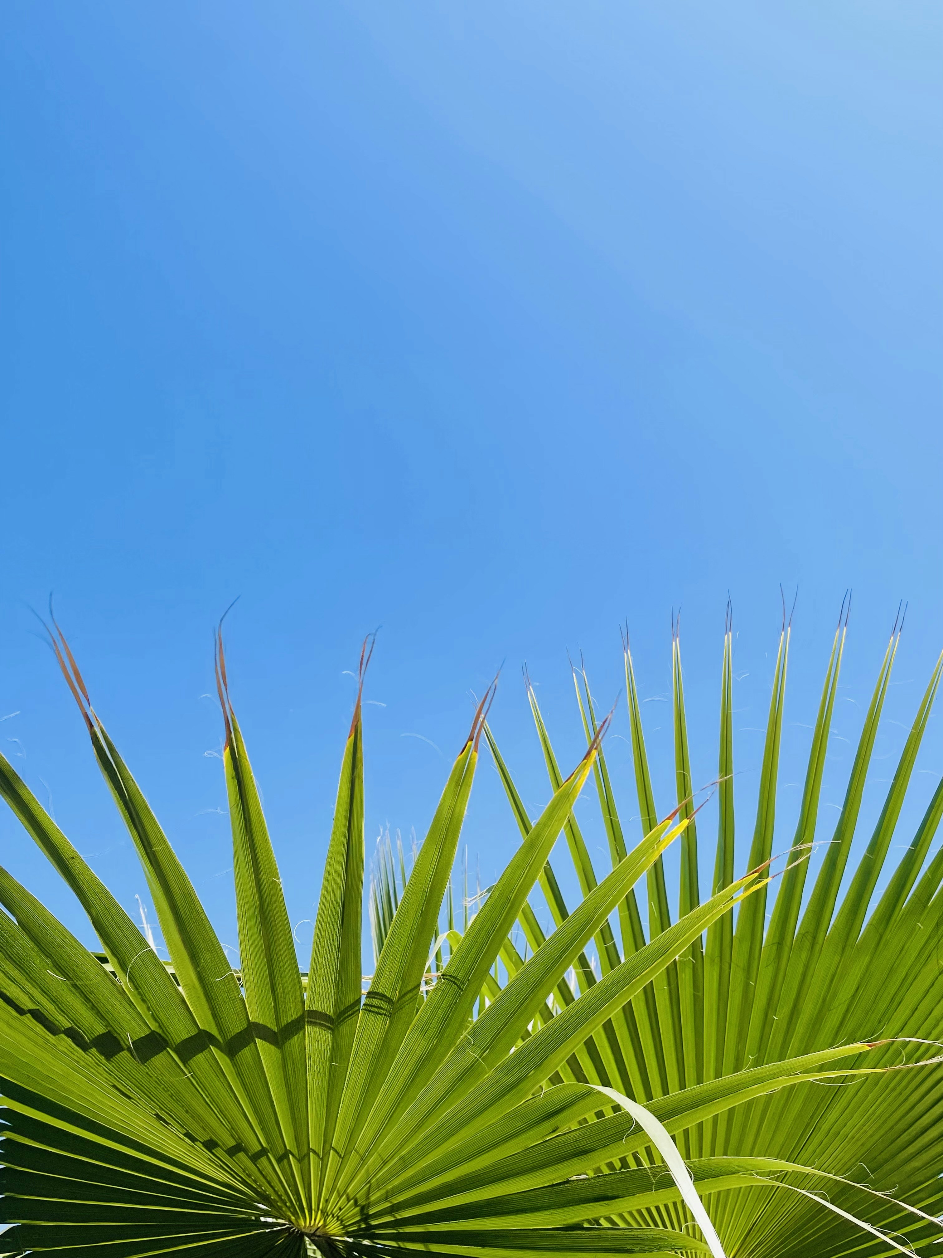 Photo by galifianakis