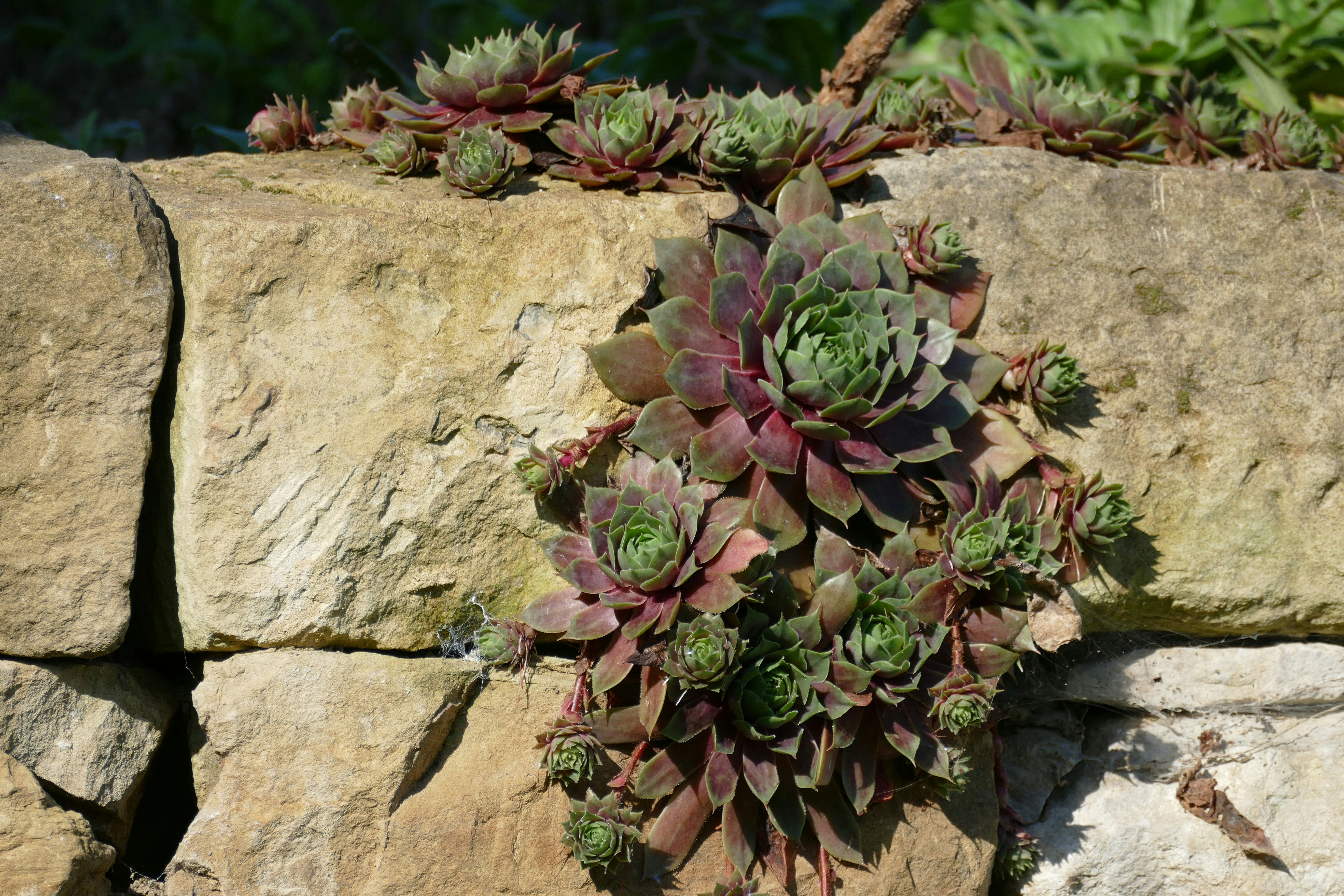 Field Guide: Beach Puzzling — Scavenger Hunts, Metal Detecting, and Safety (2026)
