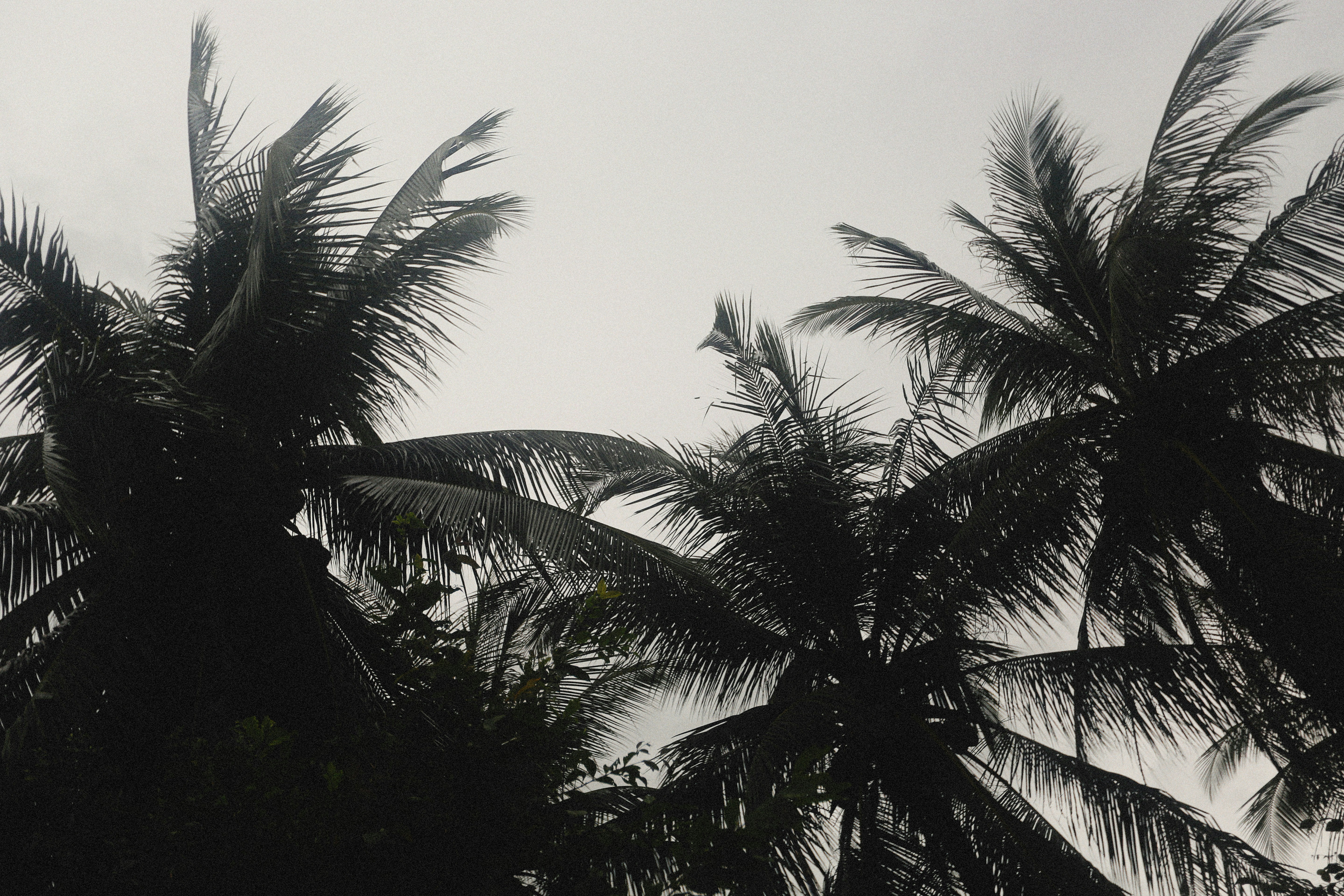 Photo by alexeydemidov